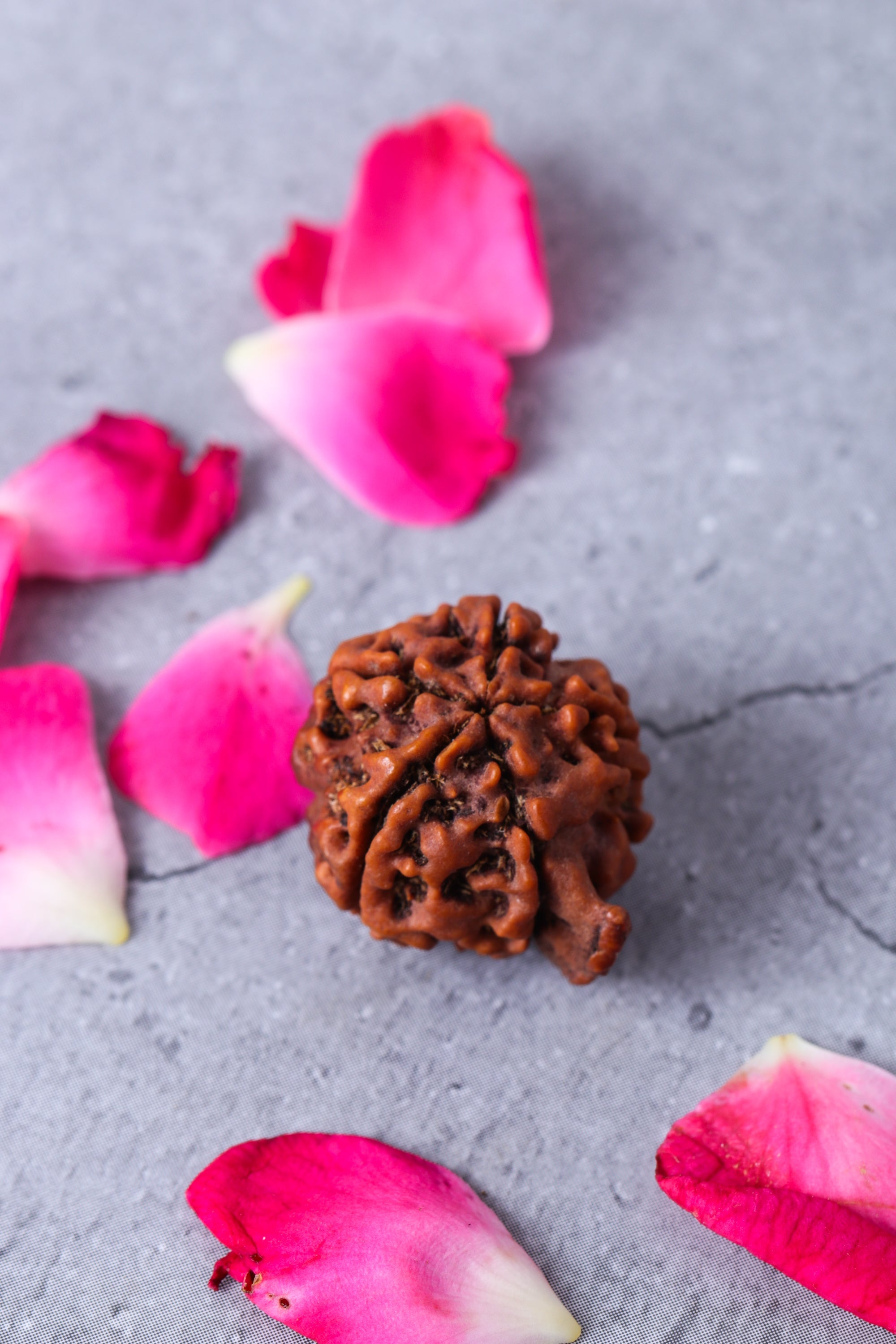 Studio Vaidik Natural Ganesh Rudraksha - view 2