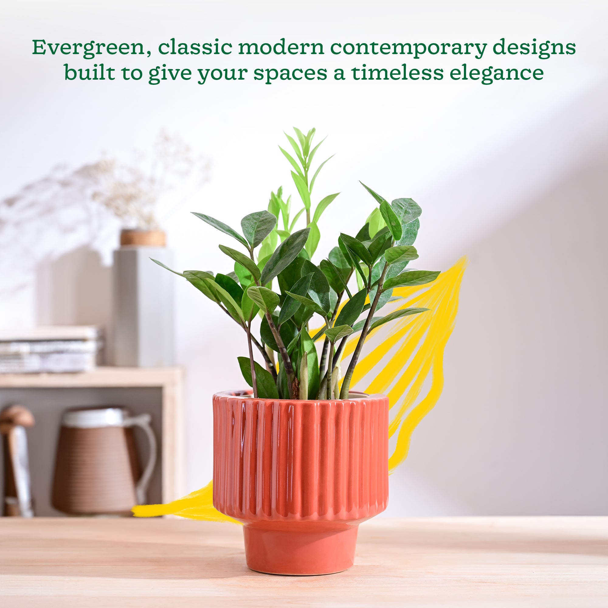 Ugaoo Forms of Love Ceramic Planter - view 26