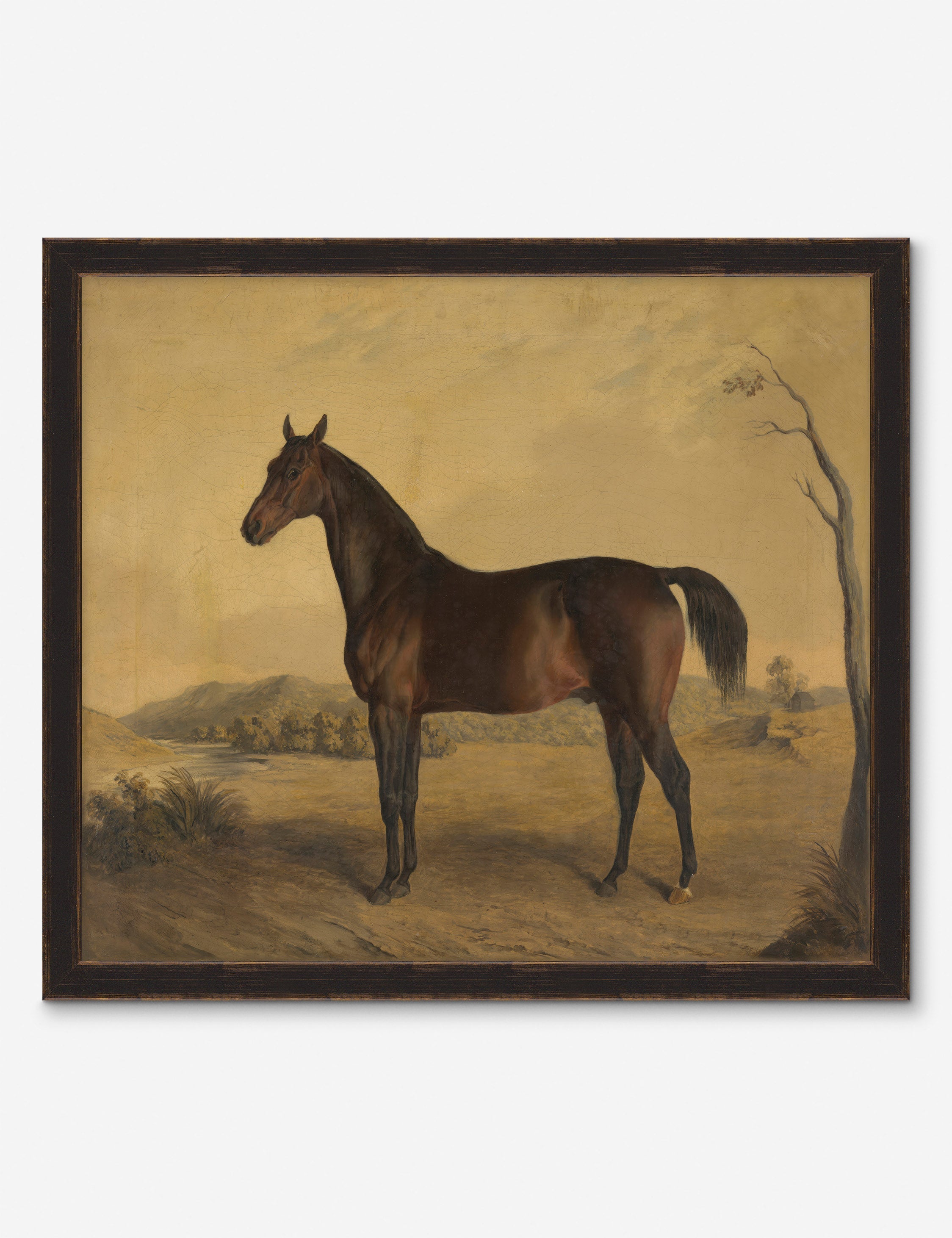 Lulu and Georgia Horse II Wall Art by Heidi Caillier