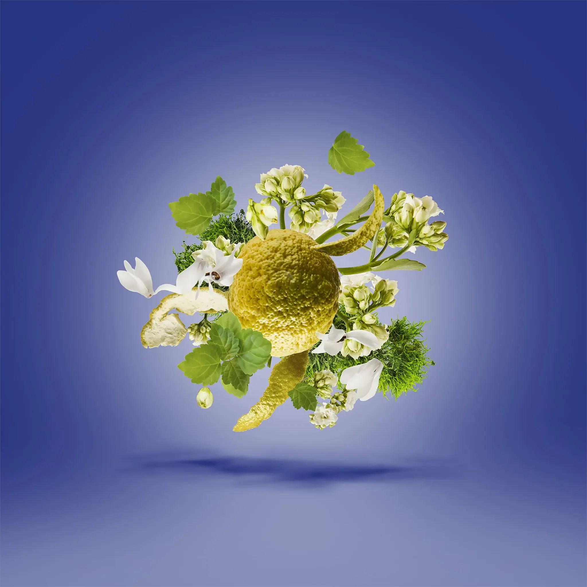 Xerjoff ATP Torino23 Eau De Parfum - view 3