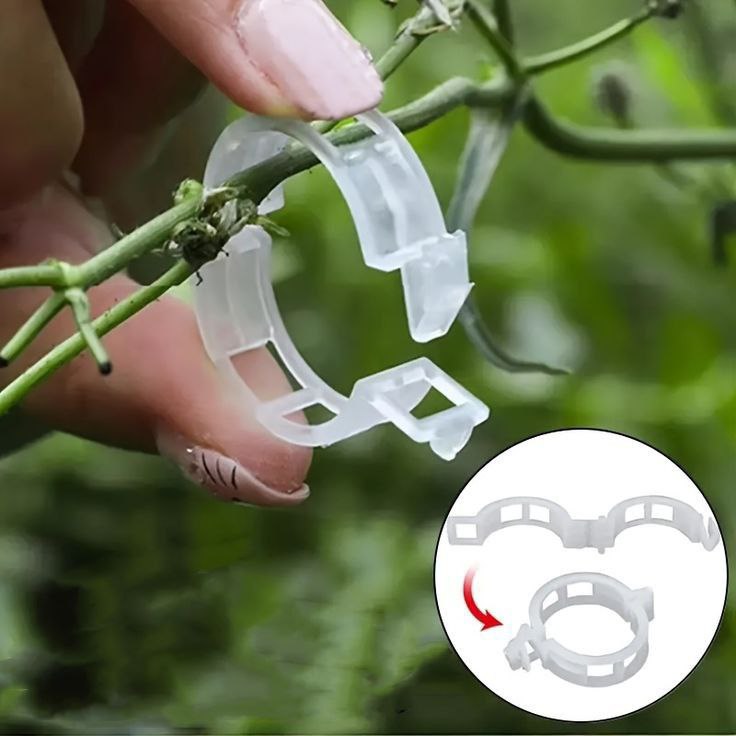 Catterton High Quality Plant Support Clips - view 2