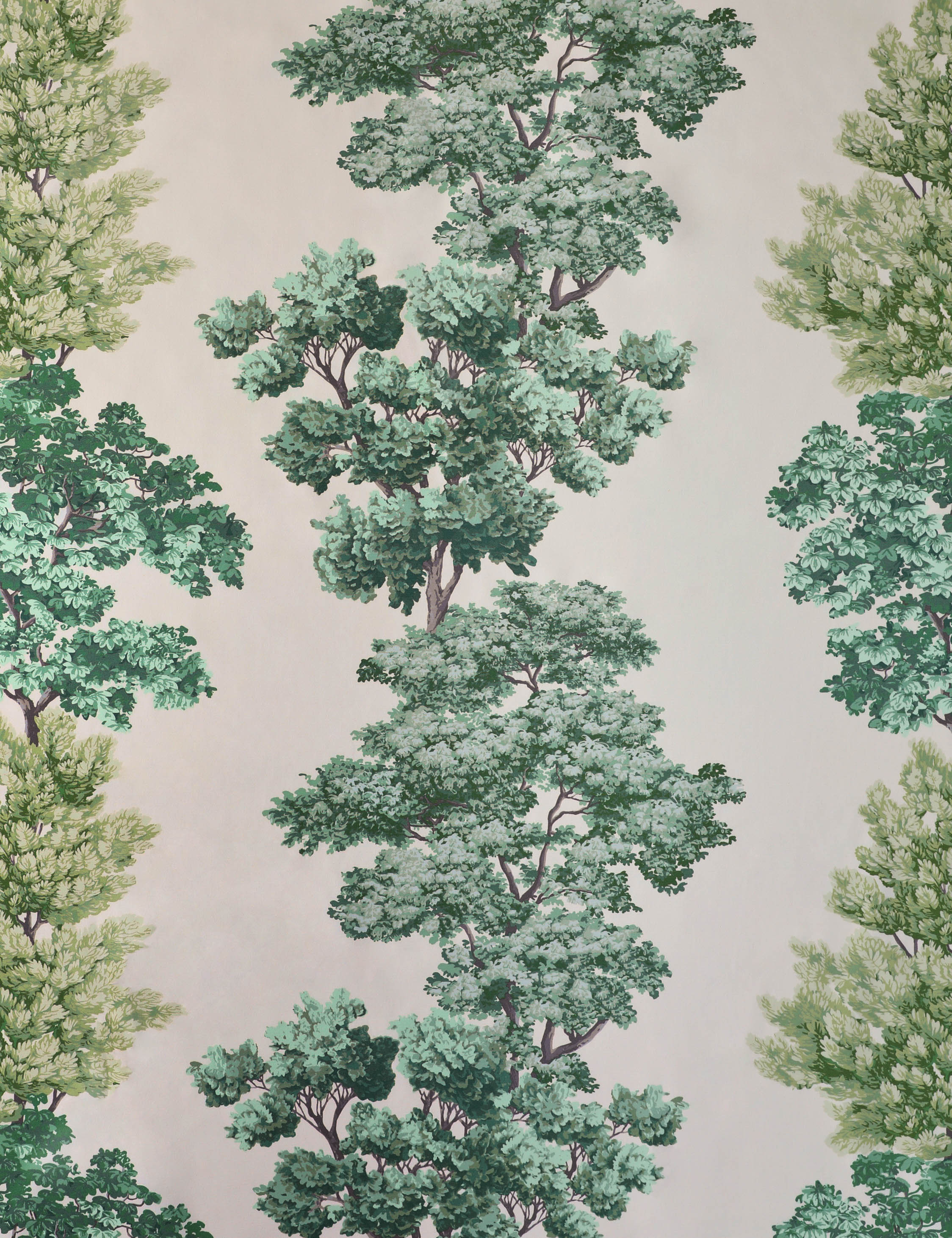 Lulu and Georgia Central Park Cotton Fabric by Scalamandré - view 4