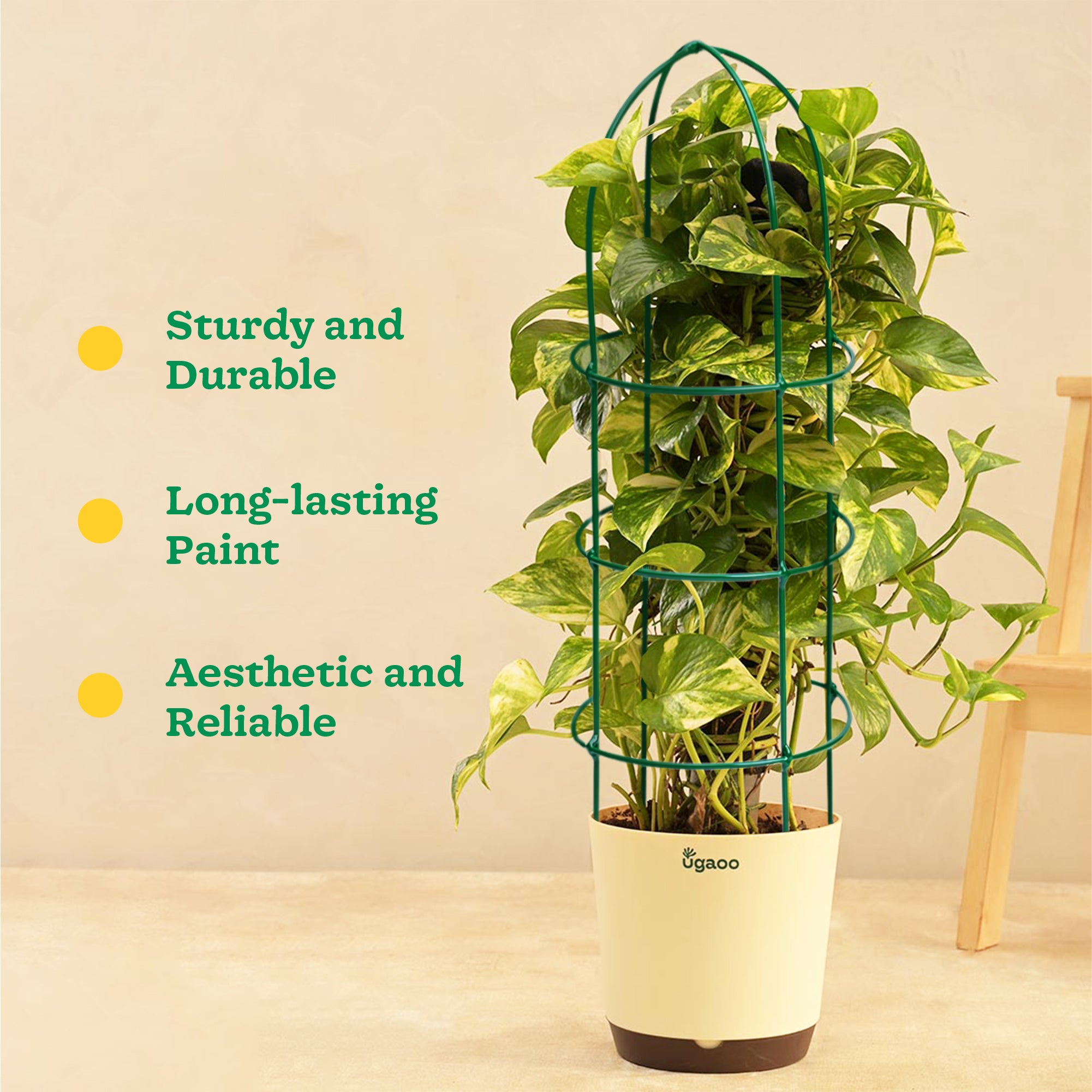 Ugaoo Trellis Plant Support Stands - Set of 3 - view 2