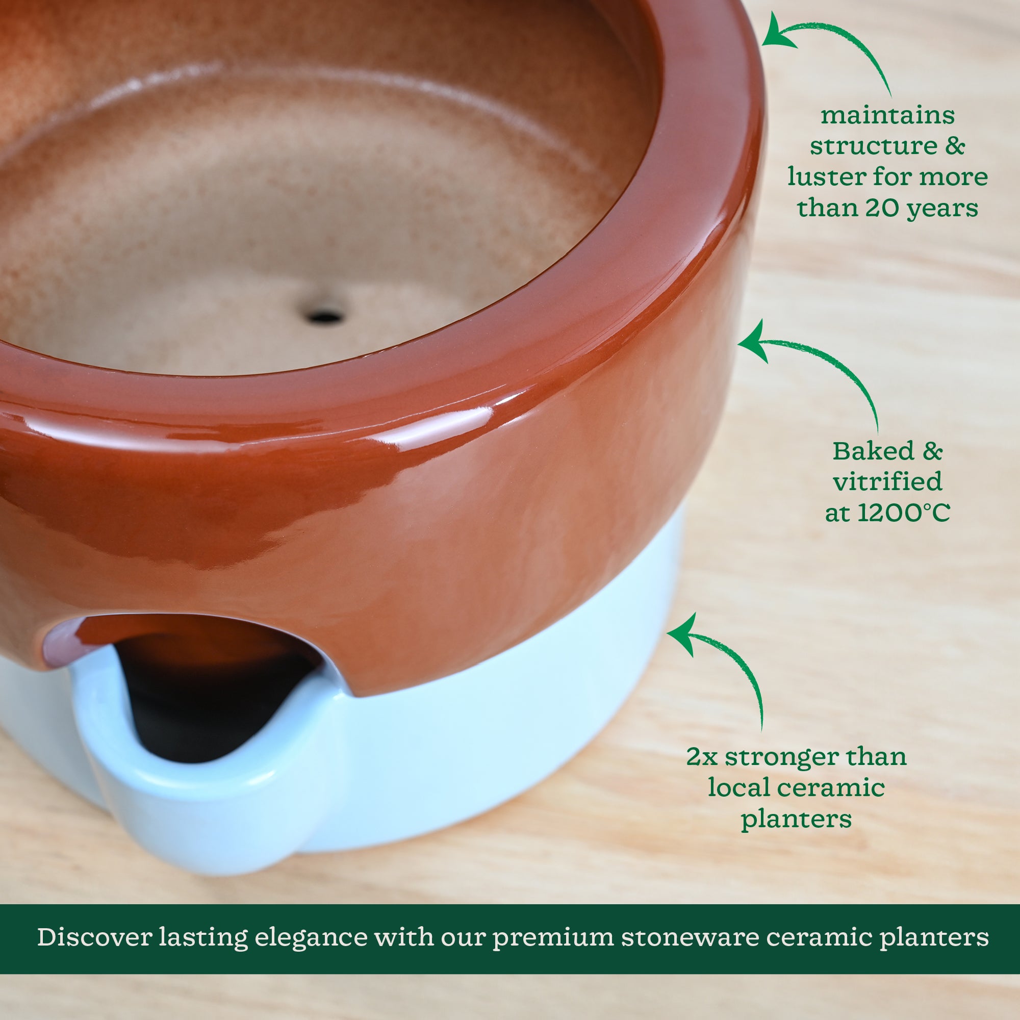 Ugaoo Flower Sunflower Ceramic Planter - view 13