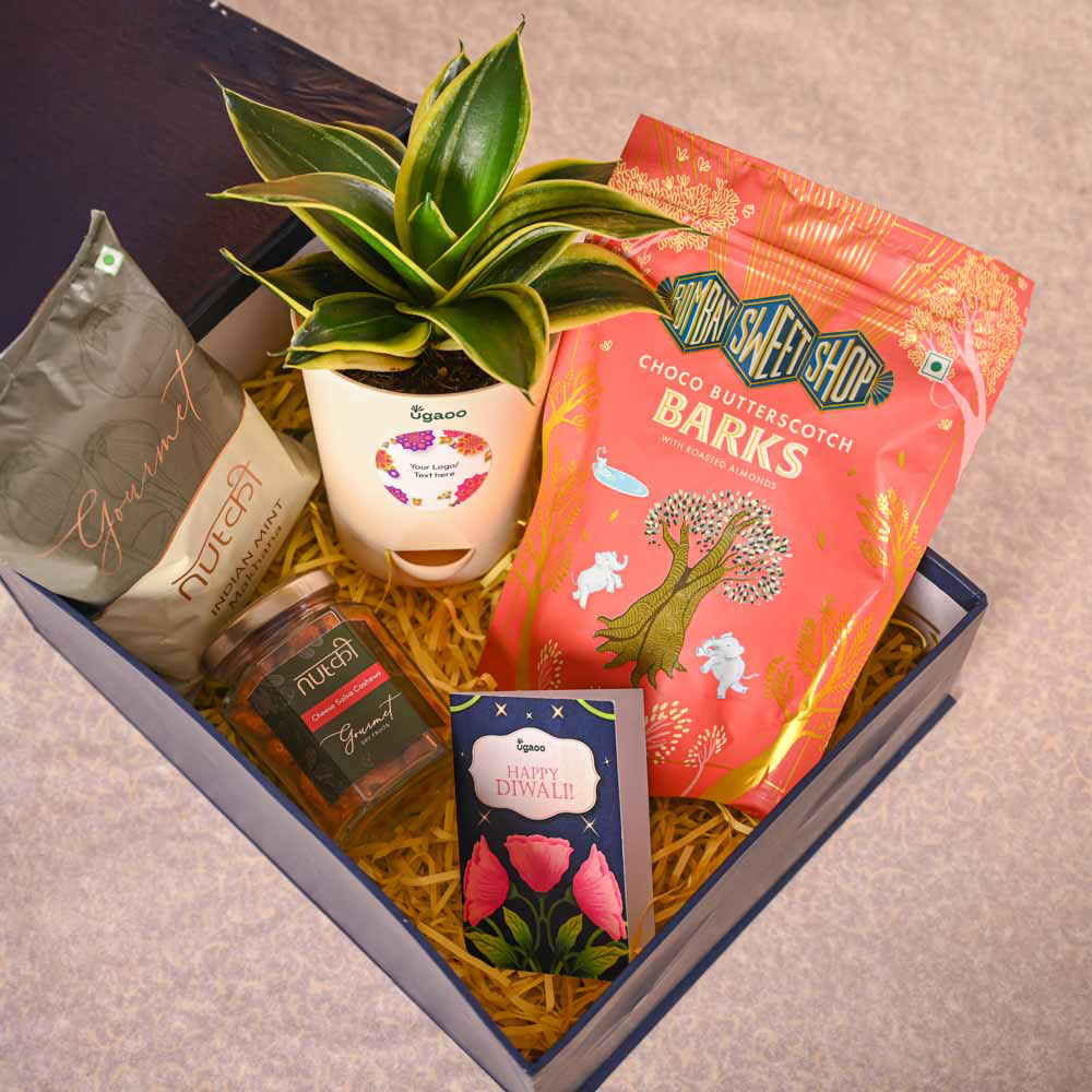 Ugaoo Snake Plant & Bombay Sweet Shop Diwali Gift Hamper - view 8