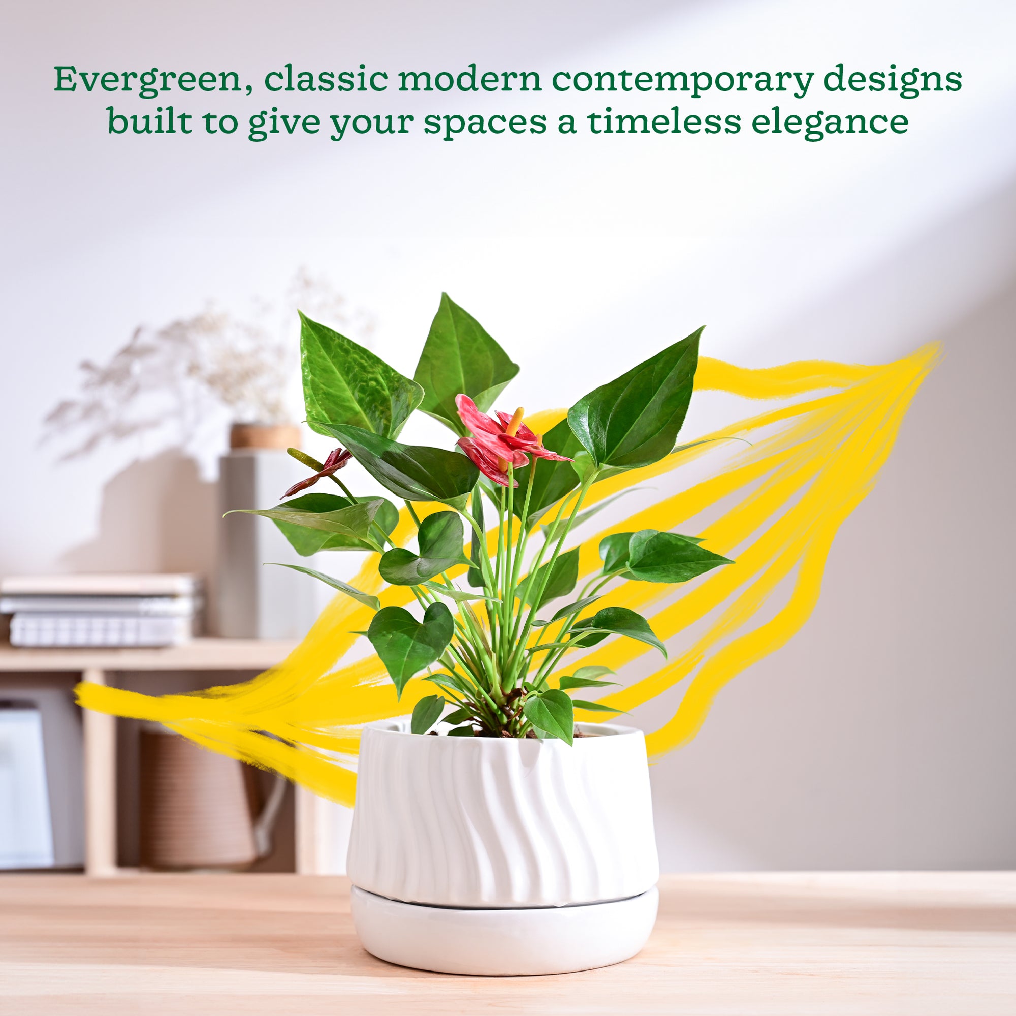 Ugaoo Fallen Angel Ceramic Planter - view 42