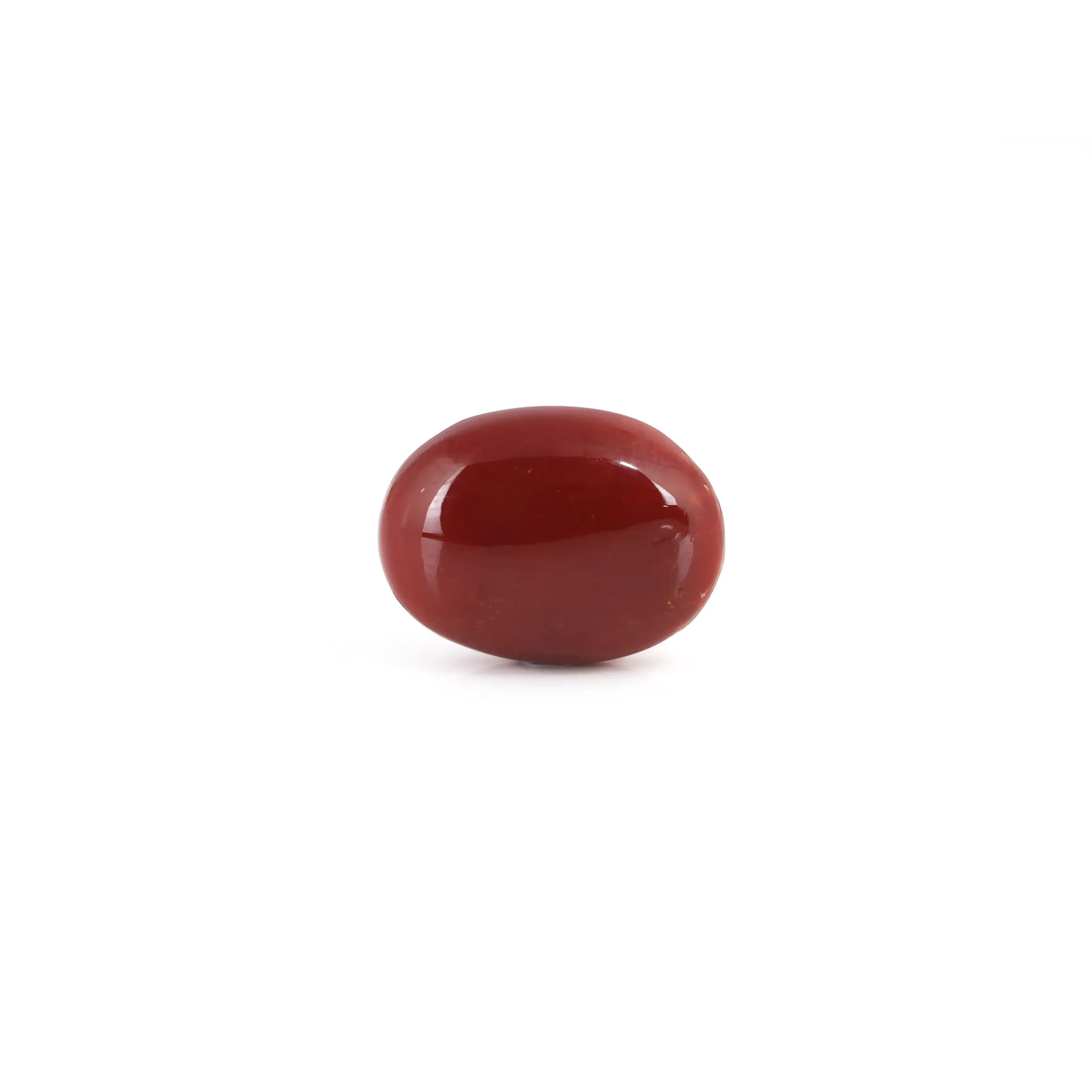 Pramogh Japanese Red Coral - 9.55 Carat