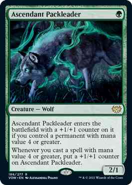 Ascendant packleader 186 – Magic Ascendant Packleader [186] [Innistrad: Crimson Vow] [Non-Foil]