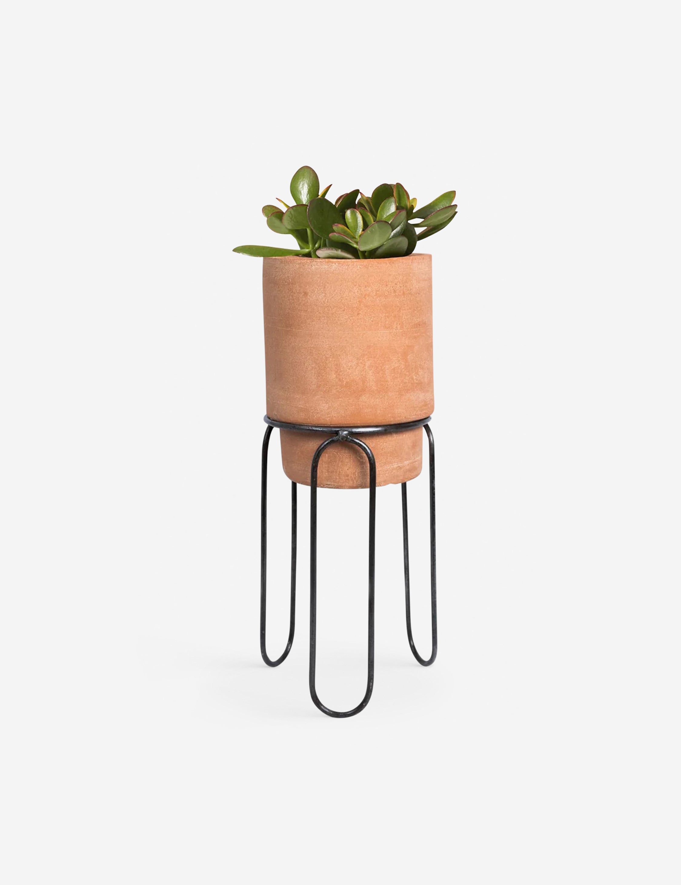 Lulu and Georgia Jaro Terracotta Planter Pot by Meso - view 2
