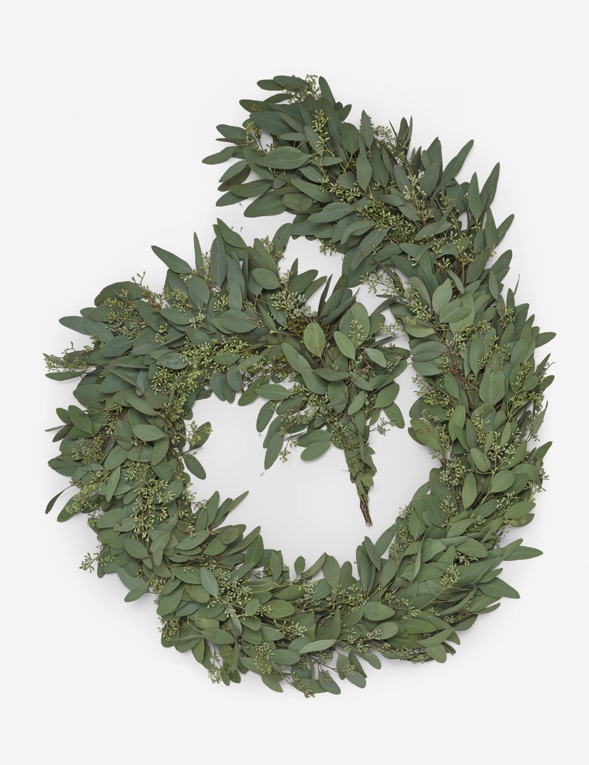 Lulu and Georgia Fresh Handmade Seeded Eucalyptus Garland