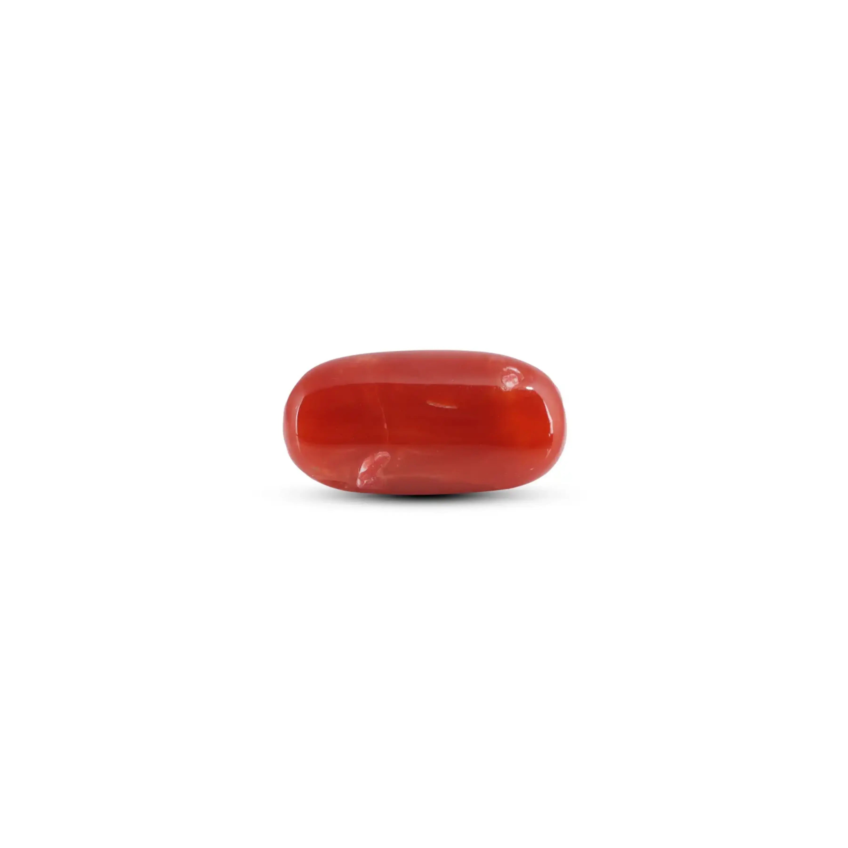 Pramogh Japanese Red Coral - 7.3 Carat - view 2