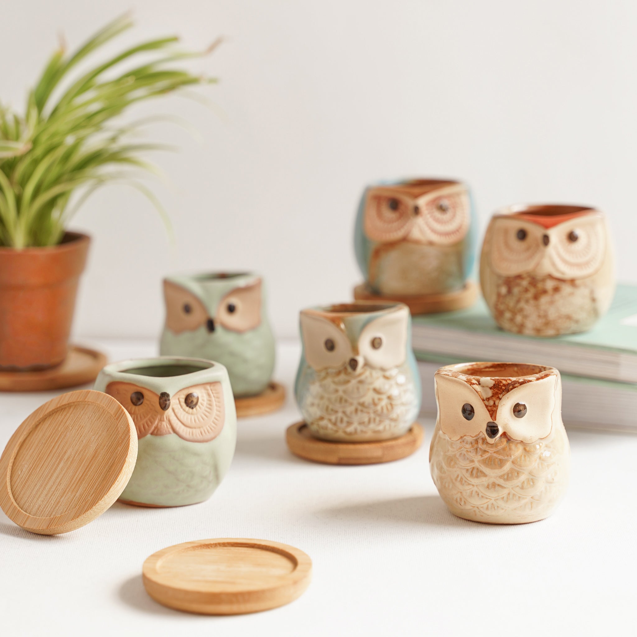 Nestasia Owl Planters Set of 6 - view 2