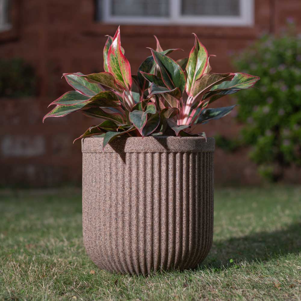 Ugaoo Tokyo Round Planter