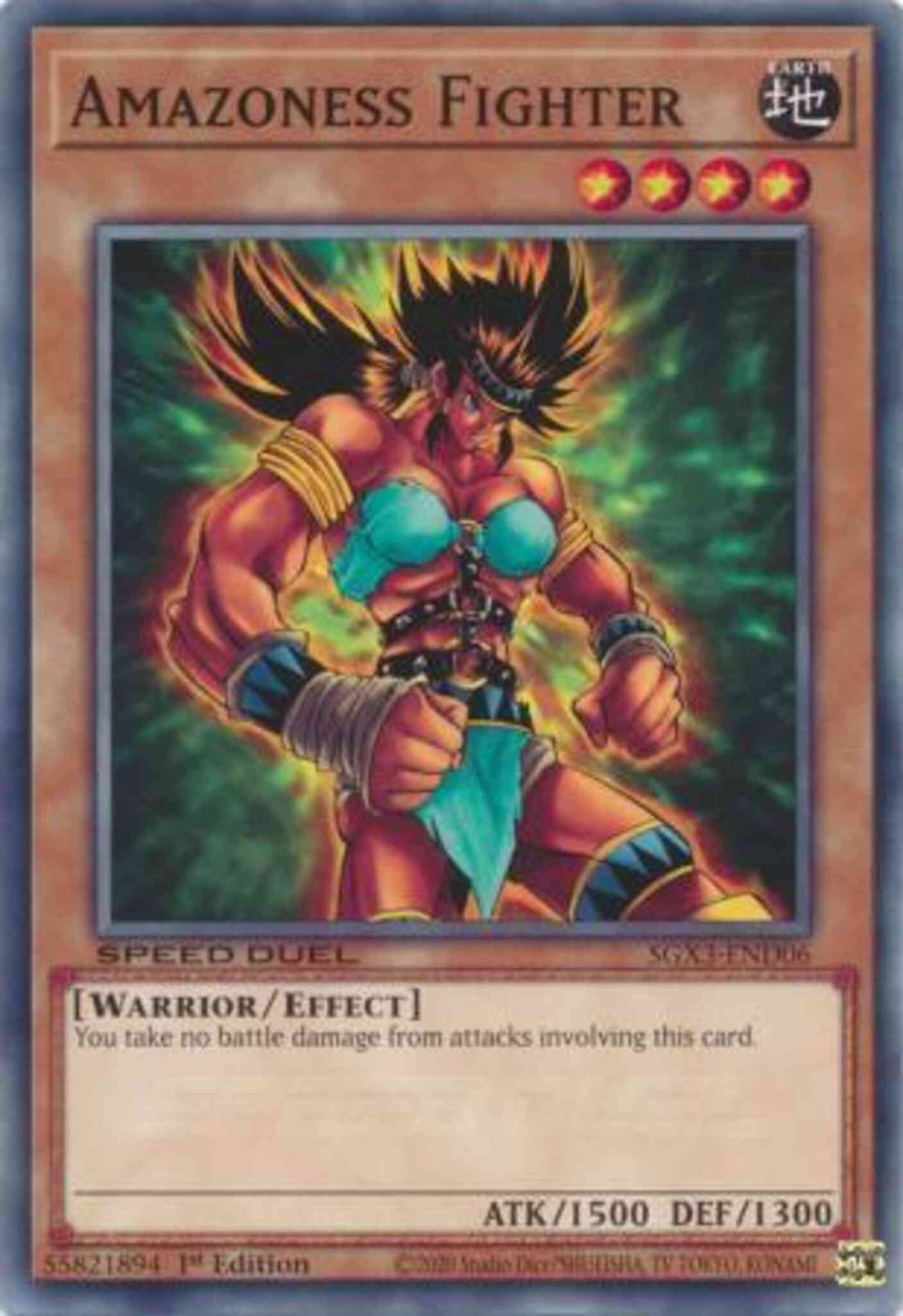 Yu-Gi-Oh! Amazoness Fighter - SGX3-END06 - Common - 1st Edition