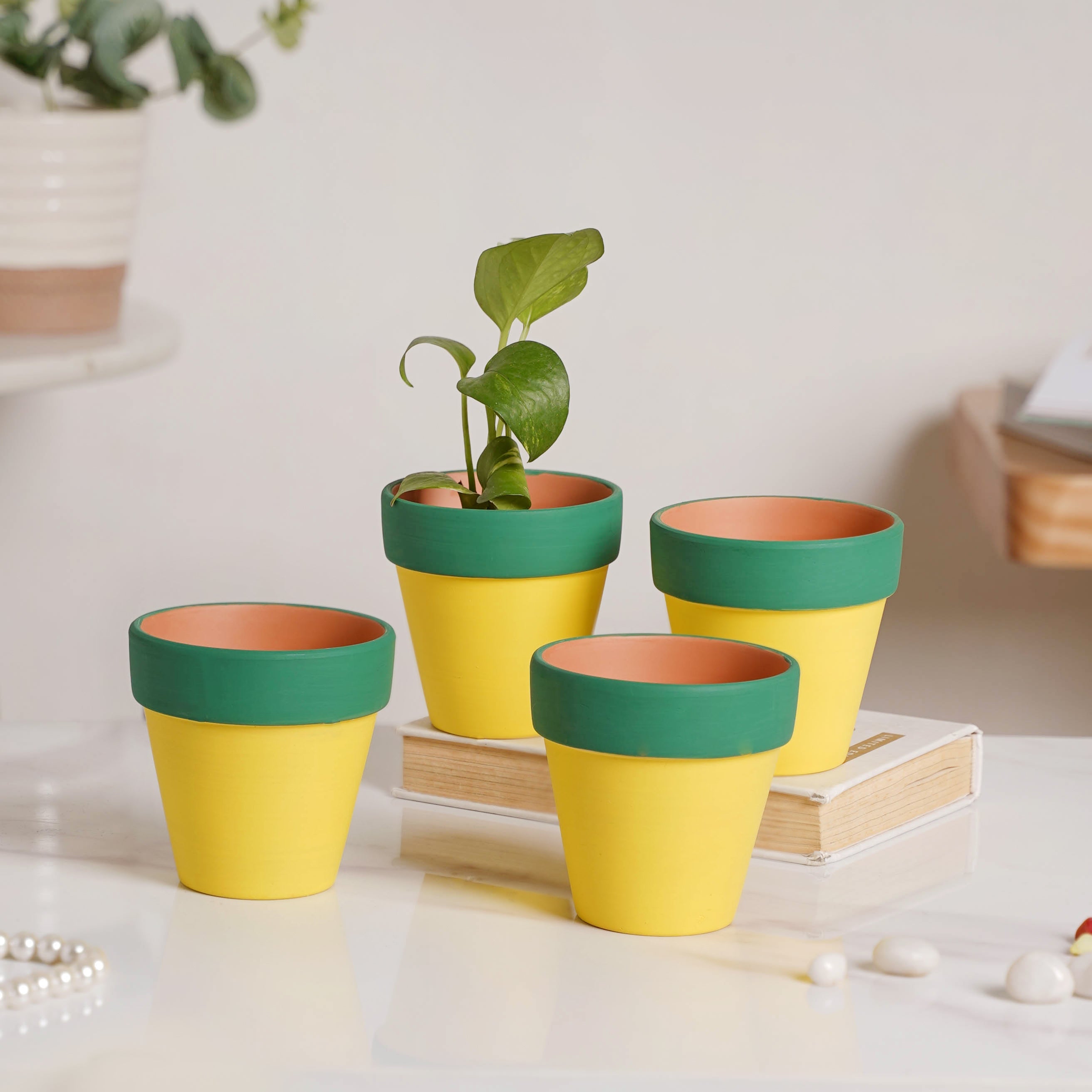 Nestasia Green Rim Yellow Clay Pot Set Of 4