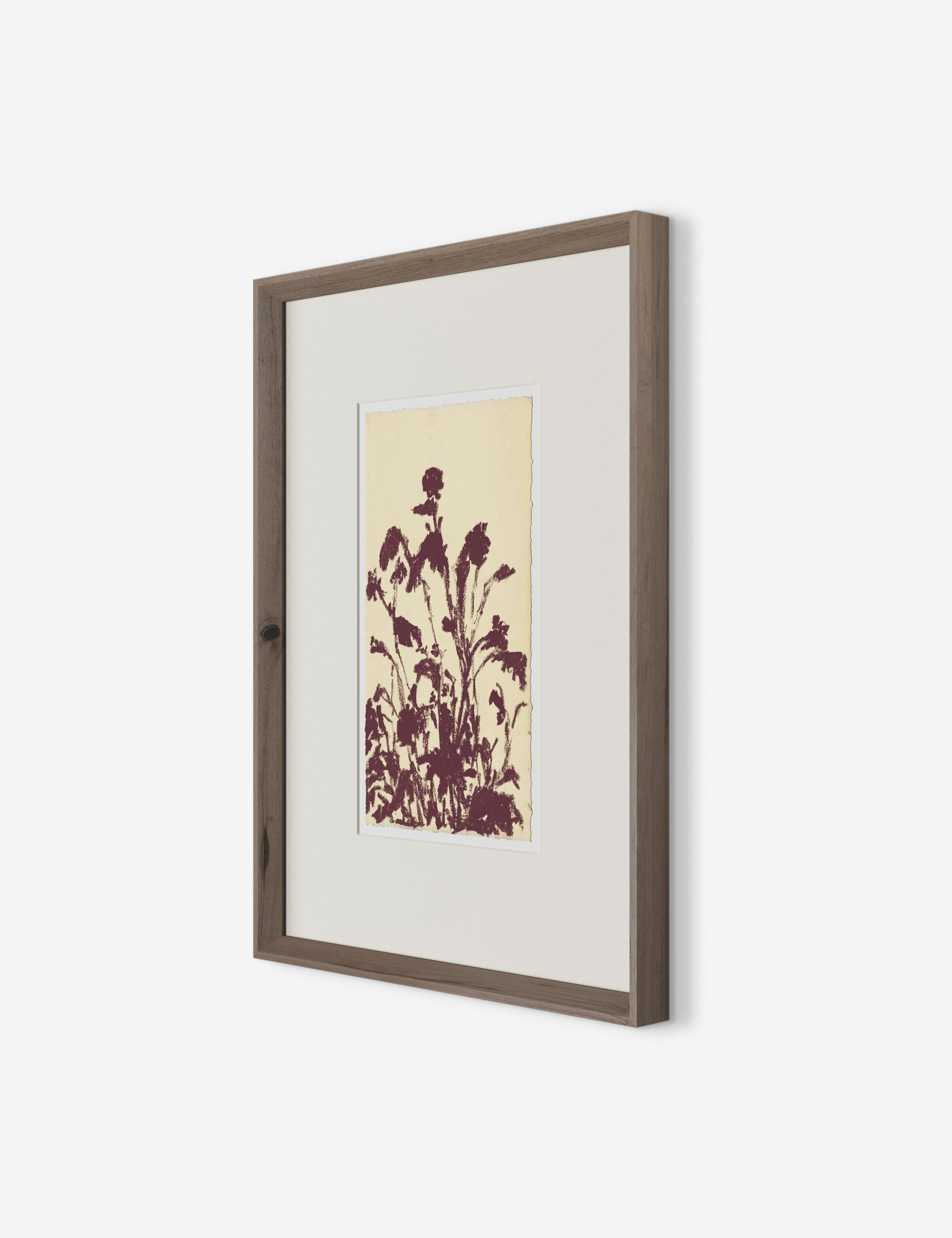 Lulu and Georgia Meadow Rue No. 6 Wall Art by Shaina Page - view 2