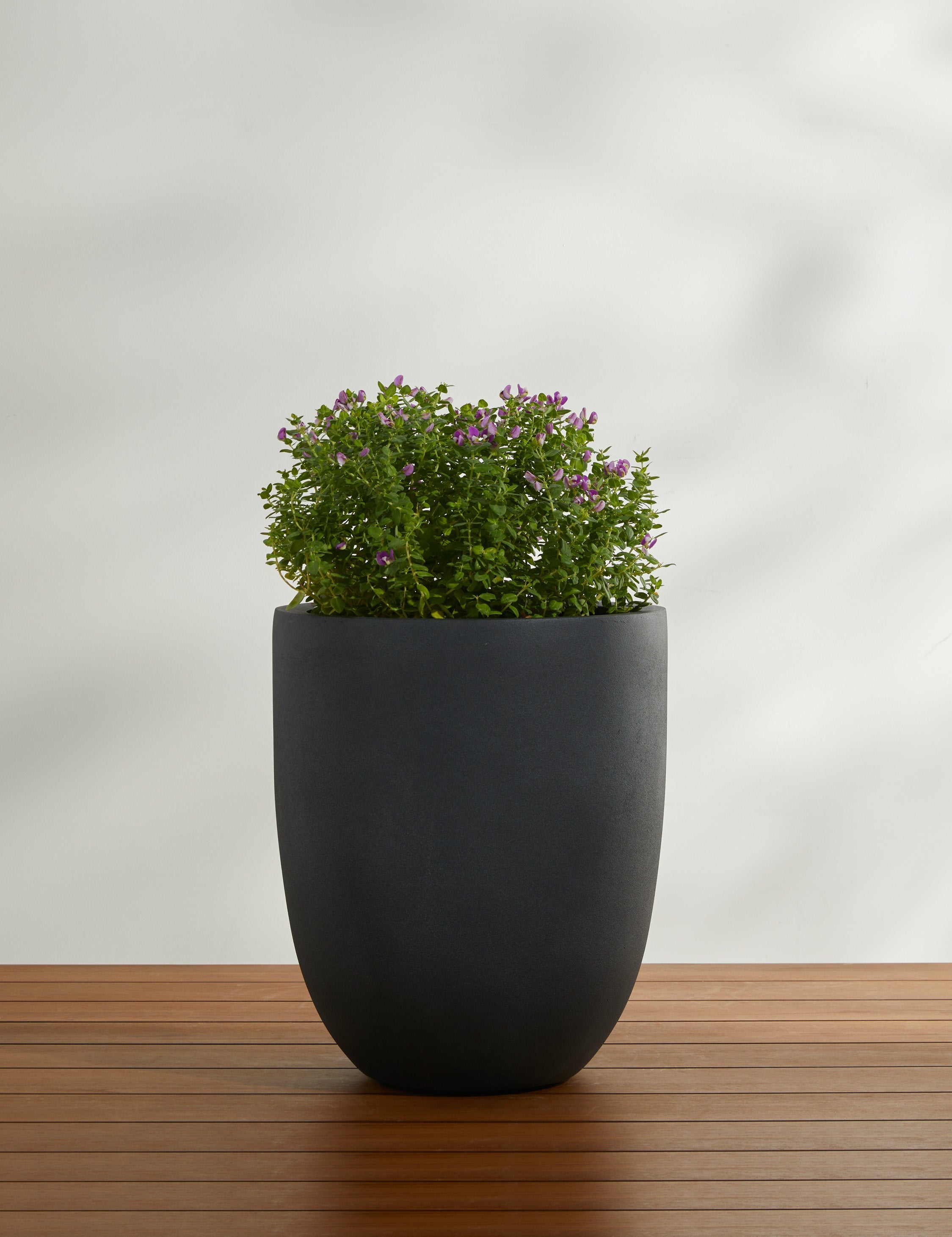 Lulu and Georgia Bradford Planters by Campania International - view 7