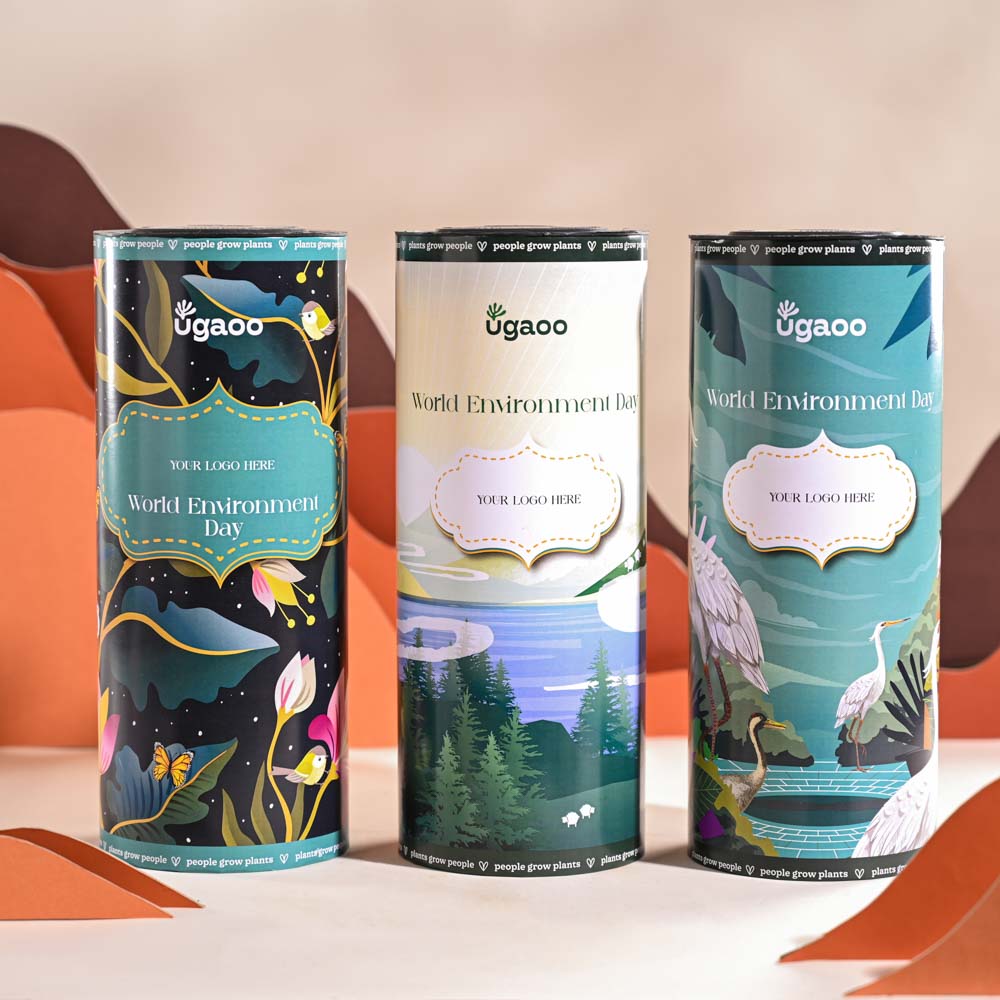 Ugaoo Philodendron Ceylon Golden Plant For Environment Day Gifting - view 18