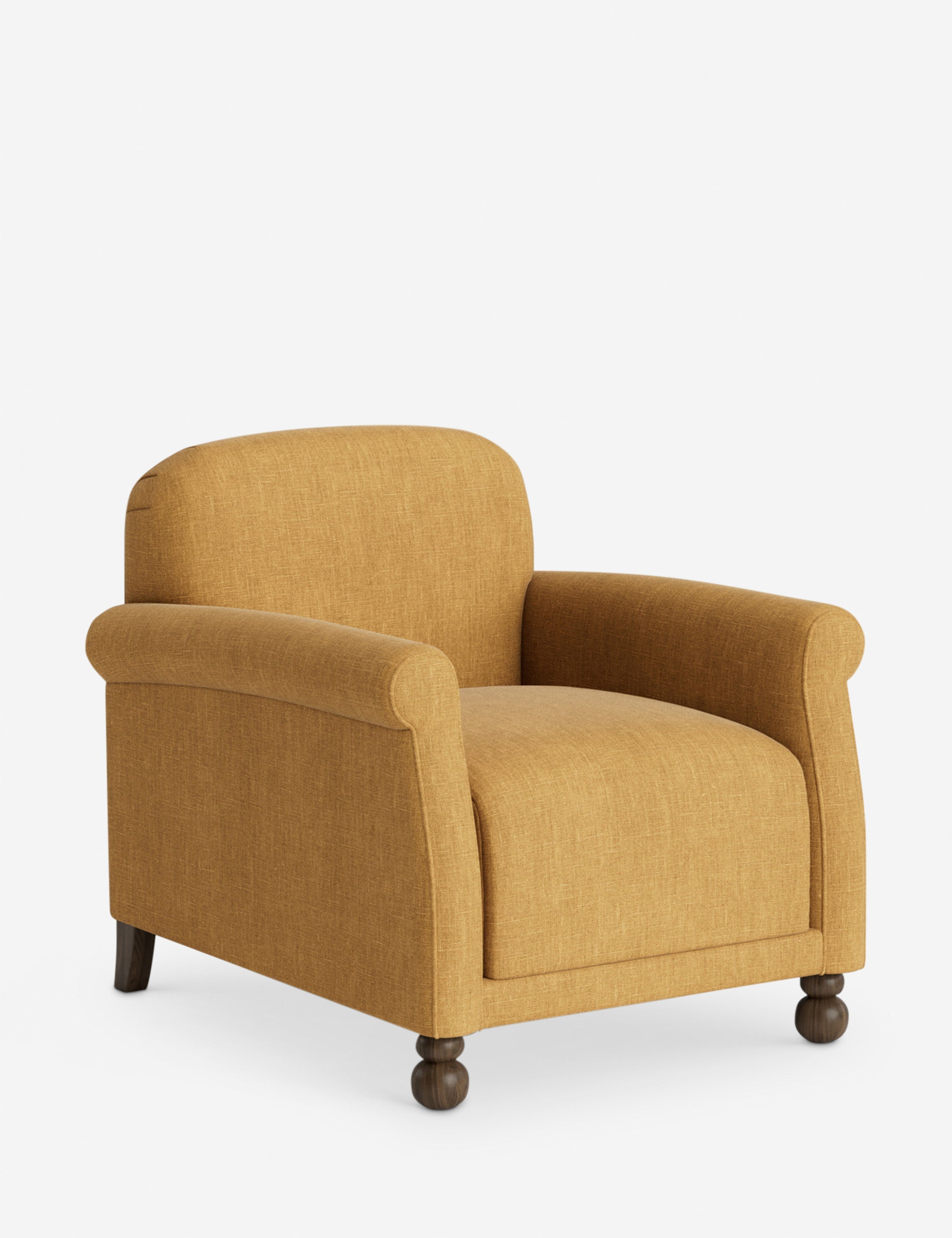 Lulu and Georgia Paley Accent Chair by Heidi Caillier - view 187