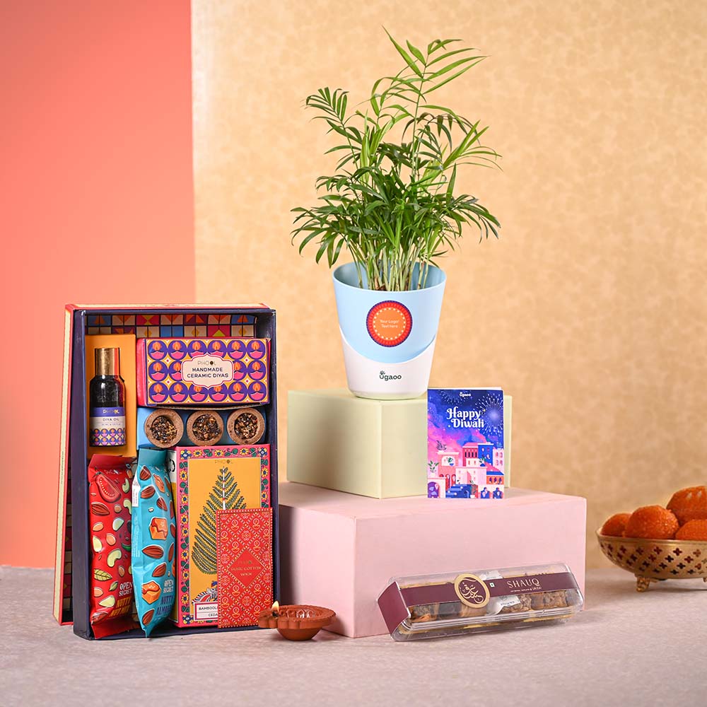 Ugaoo Bamboo Palm Plant & Phool Diwali Gift Hamper