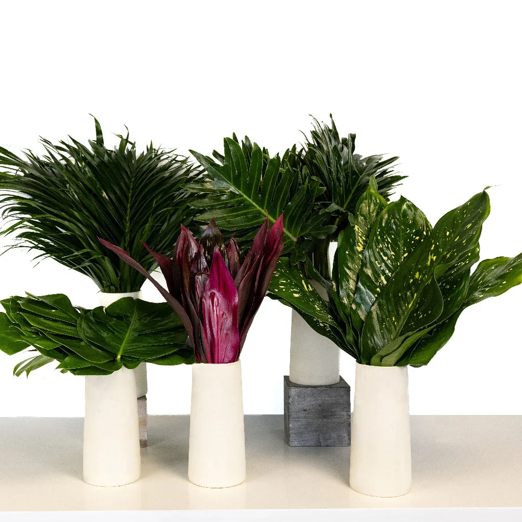 FiftyFlowers Lush Green Amazon DIY Greenery Kit - view 2