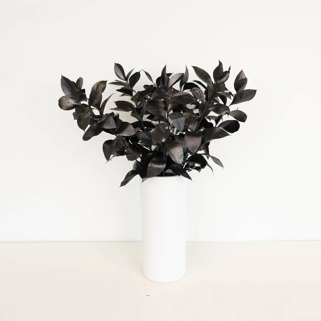 FiftyFlowers Black Tinted Ruscus Greenery