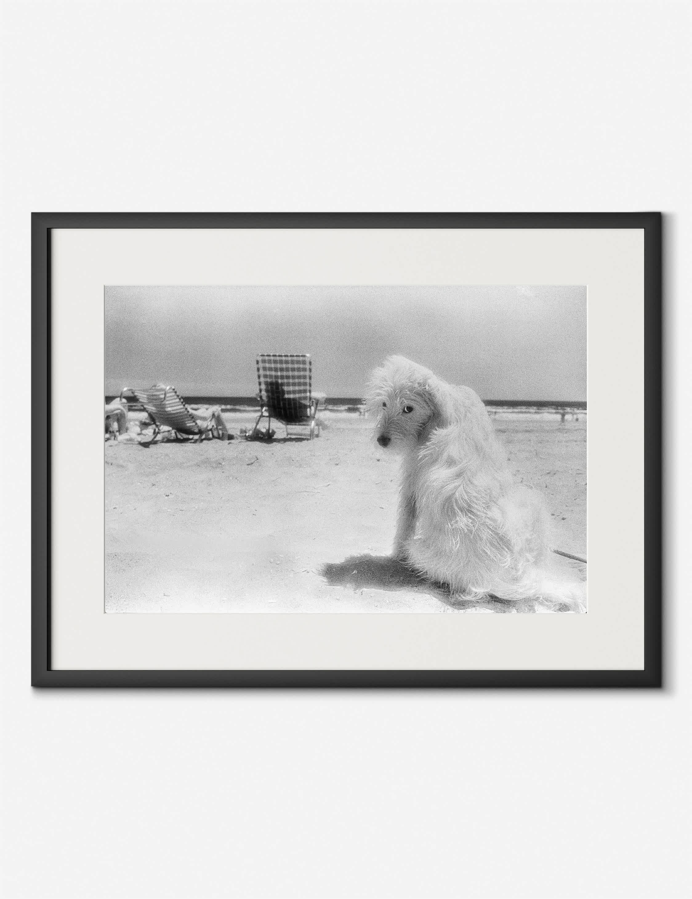 Lulu and Georgia Lois At The Beach Photography Print by Barbara Alper - view 2