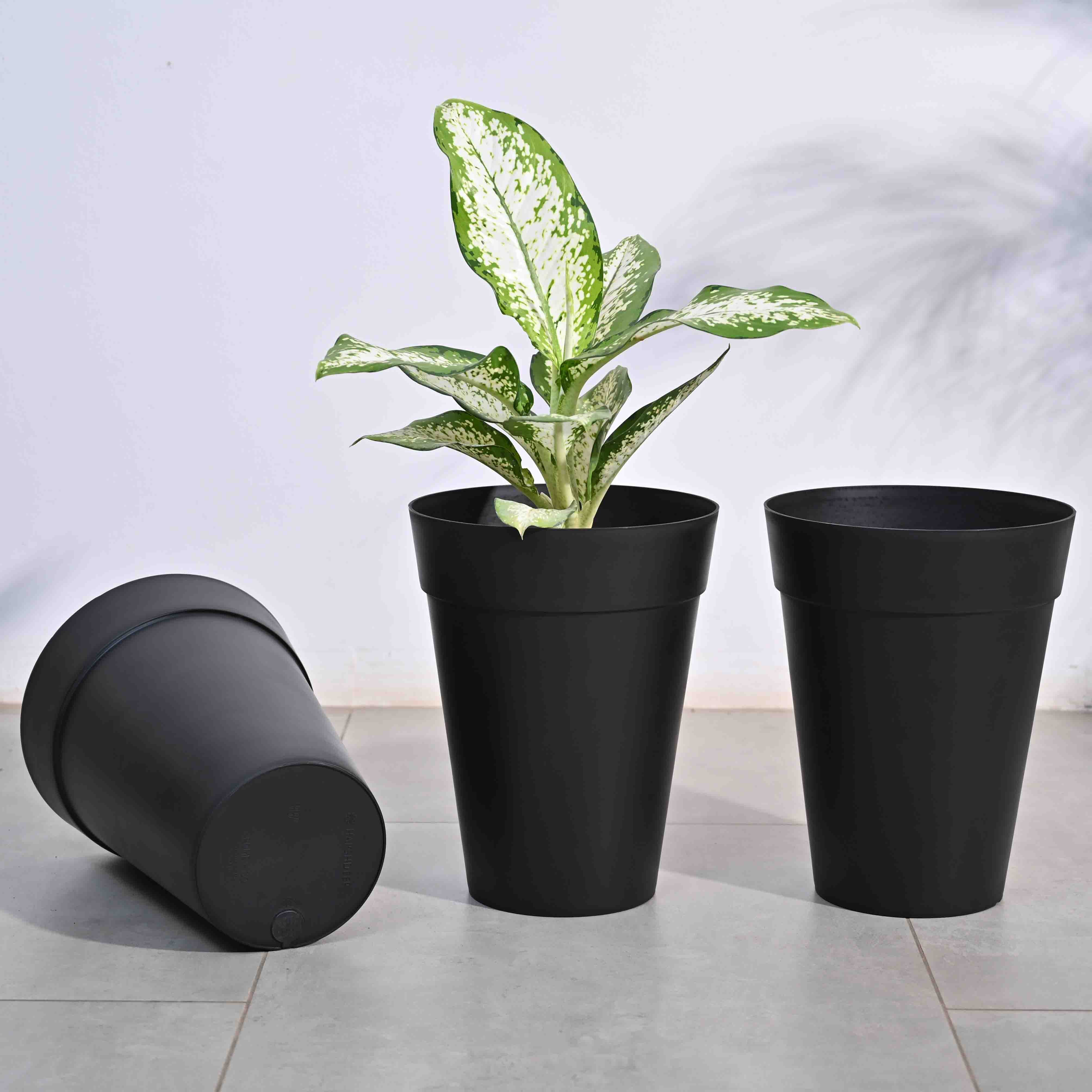 Ugaoo Roma Plastic Planter