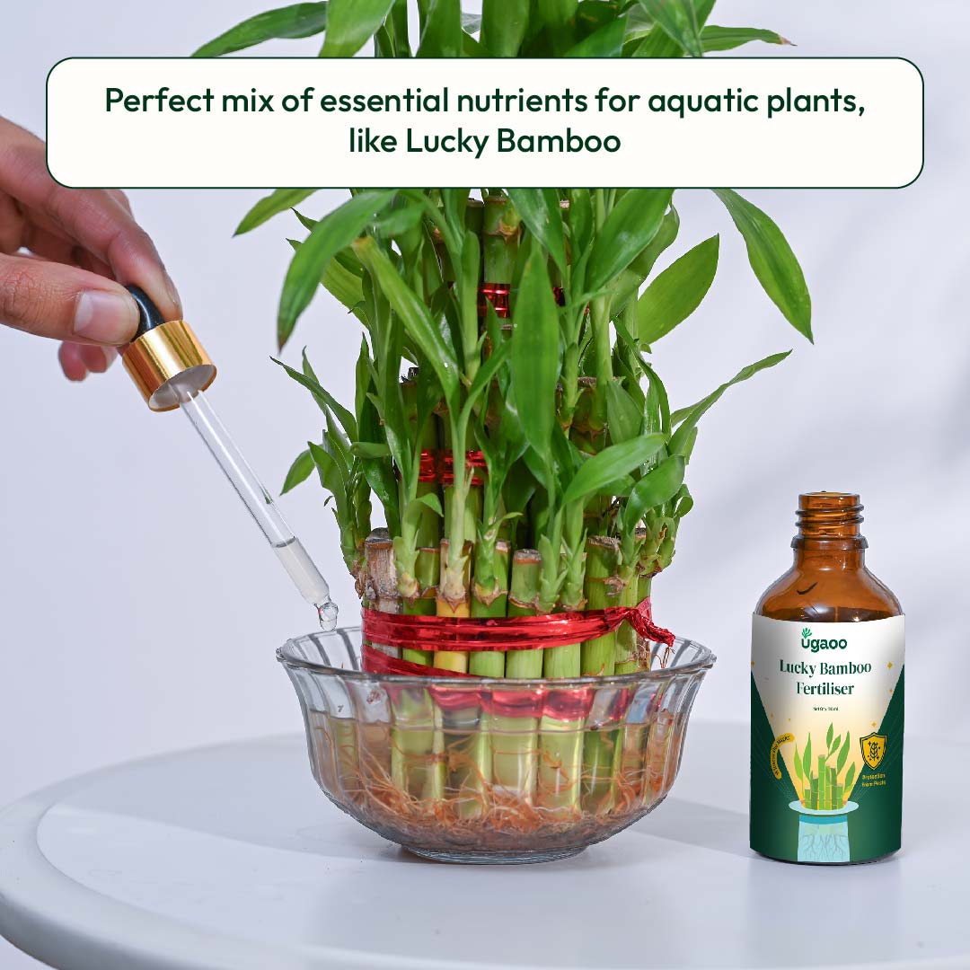 Ugaoo Lucky Bamboo Fertilizer - view 2