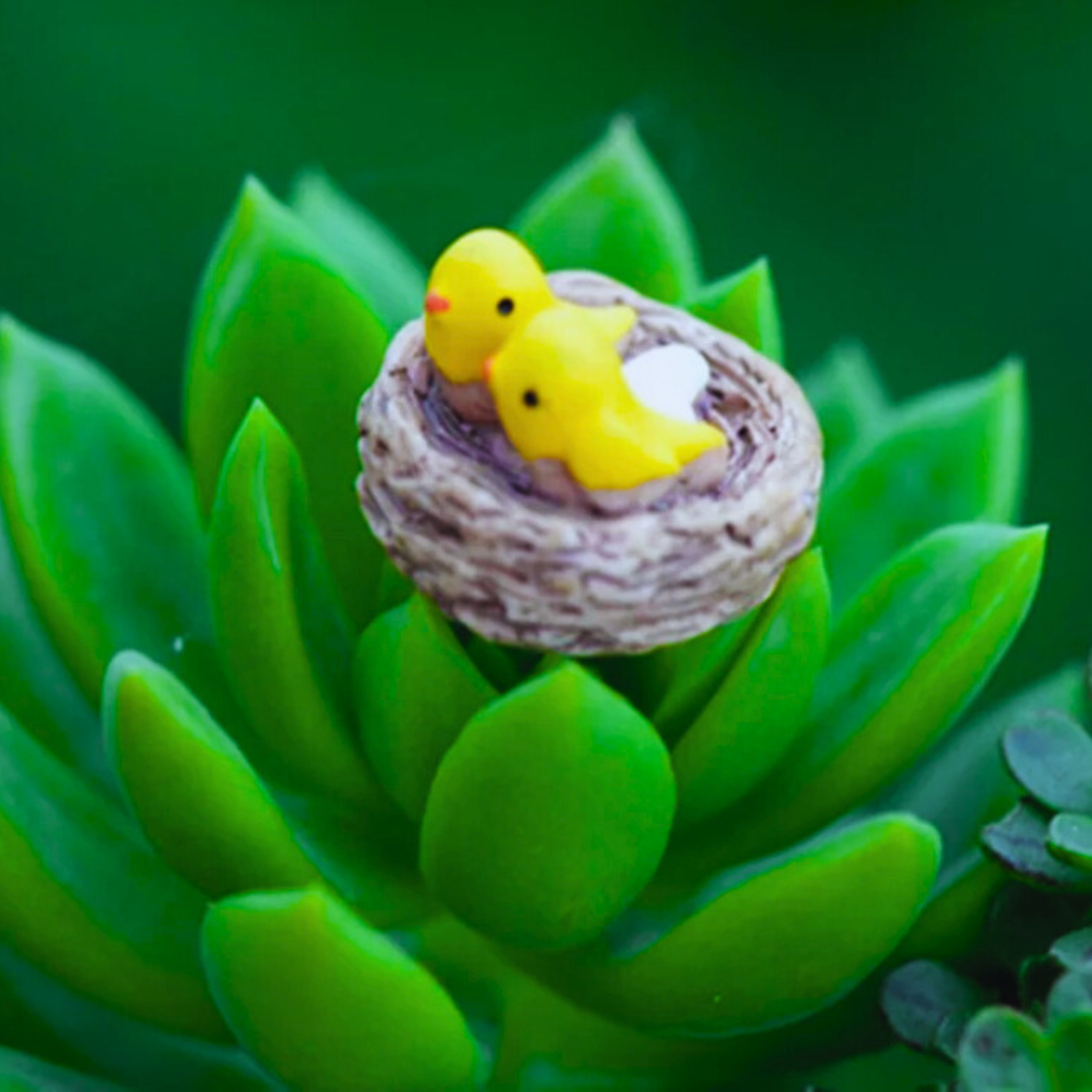 Seed2Plant Bird Nest Garden Decorative Miniature