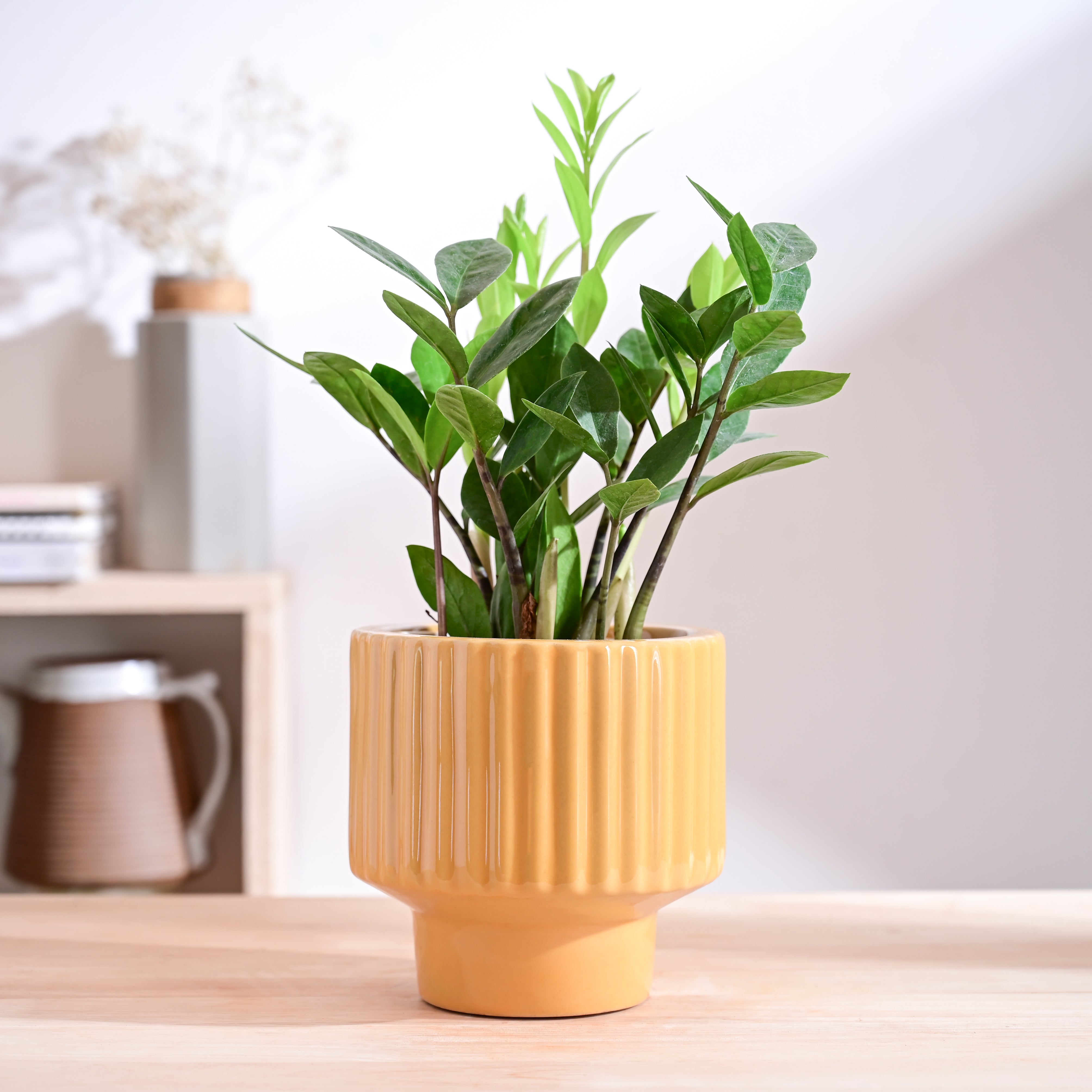 Ugaoo Forms of Love Ceramic Planter - view 17