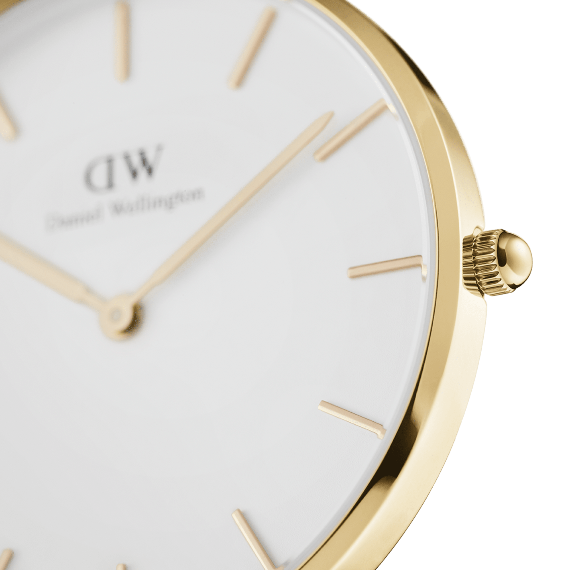 Daniel Wellington Petite Evergold White & Gold