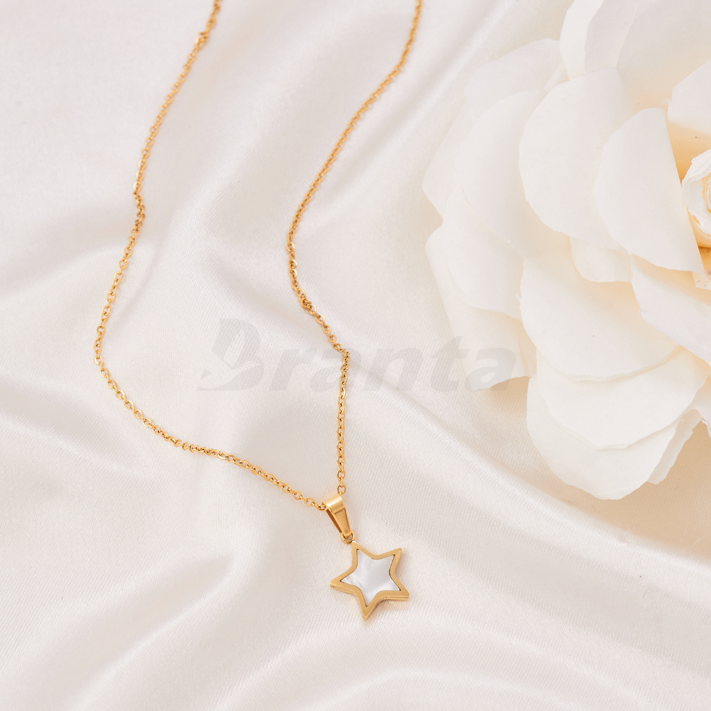 Branta Star Pendant Necklace
