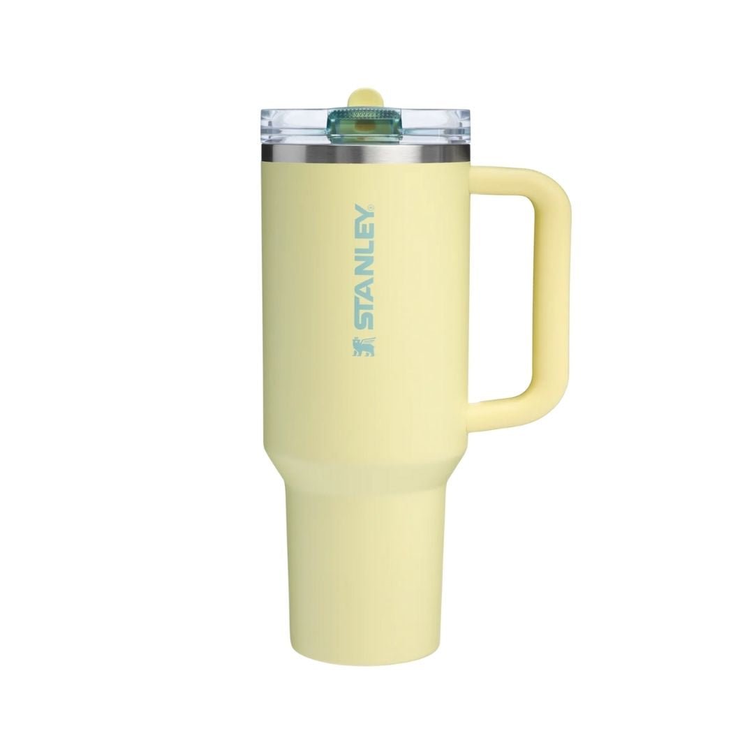 HYPE ELIXIR Stanley Quencher ProTour Flip Straw Tumbler | 40 OZ Pomelo