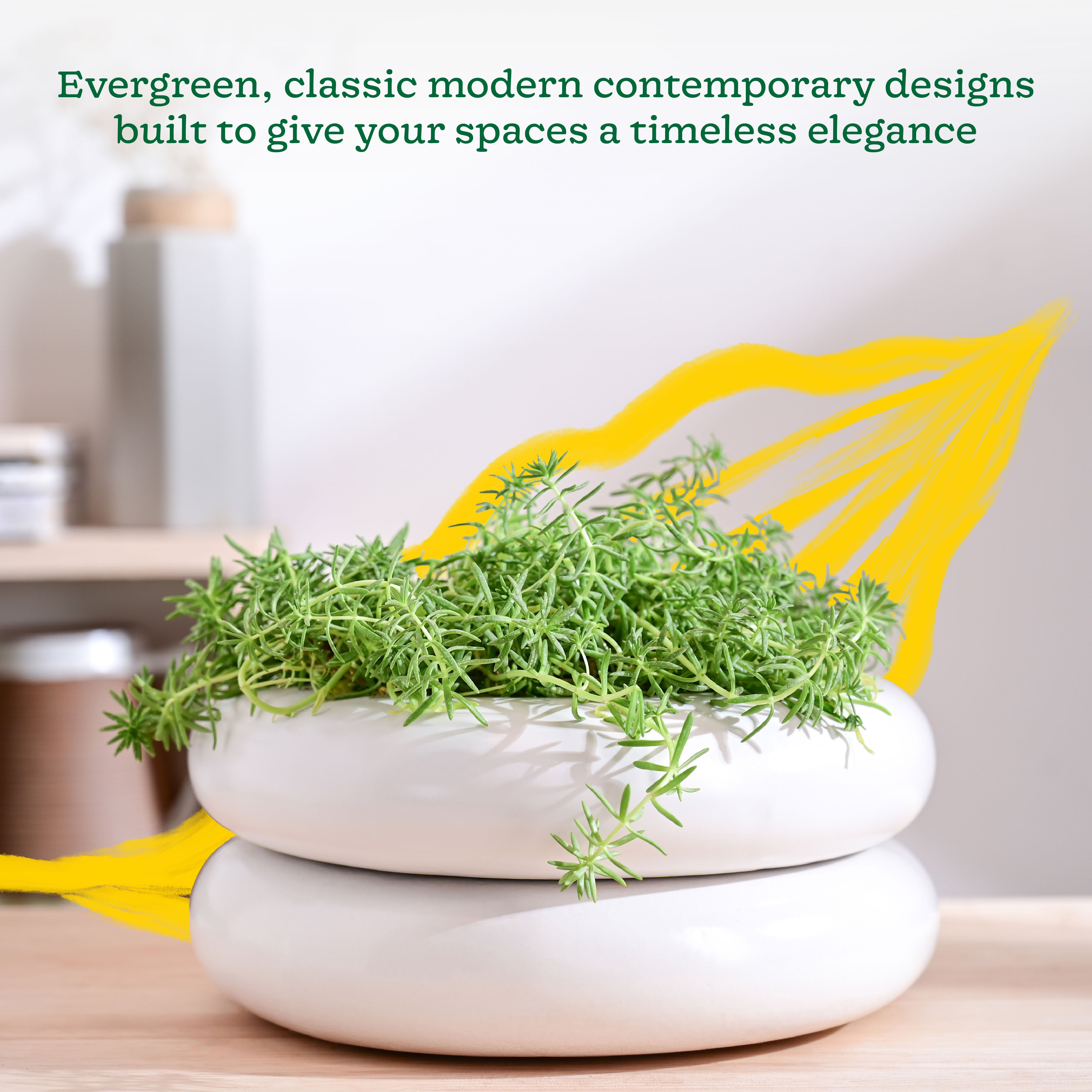 Ugaoo Tiny Kisses Ceramic Planter - view 10