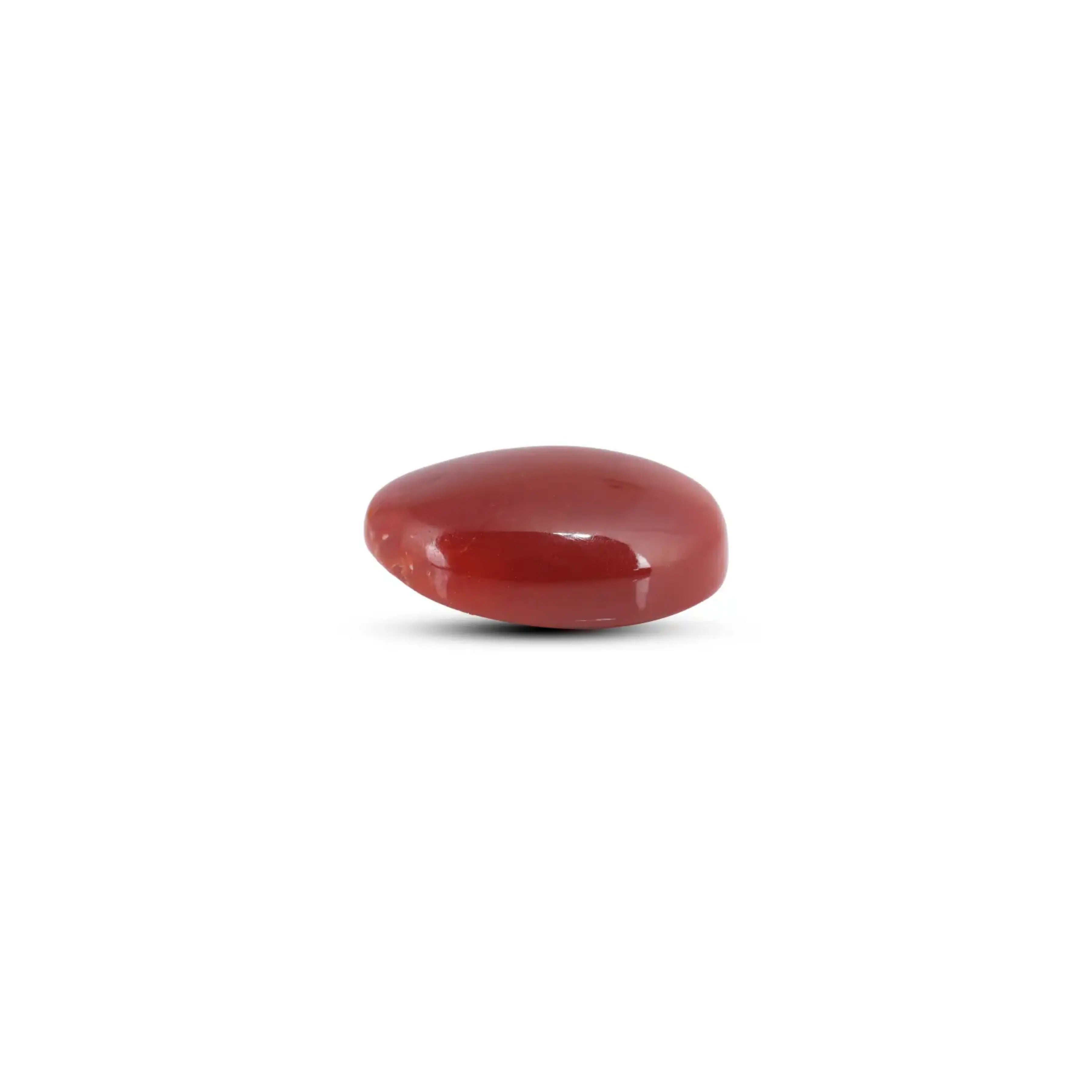 Pramogh Japanese Red Coral - 9.55 Carat - view 3