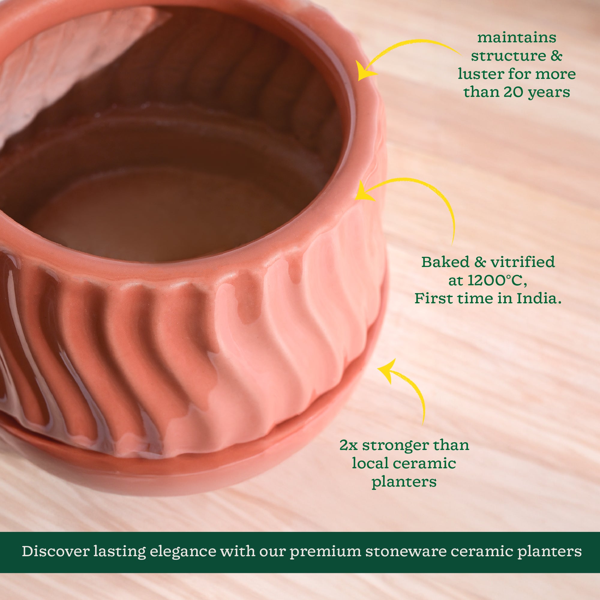 Ugaoo Fallen Angel Ceramic Planter - view 29
