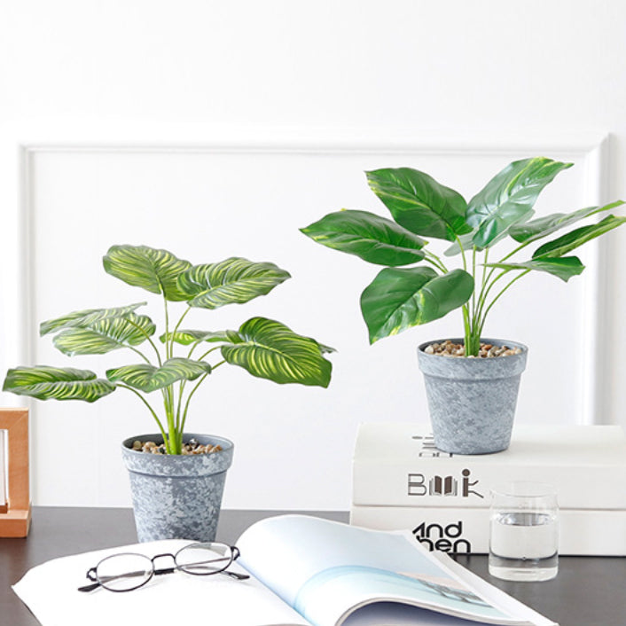 Nestasia Artificial Plant in Pot - view 4