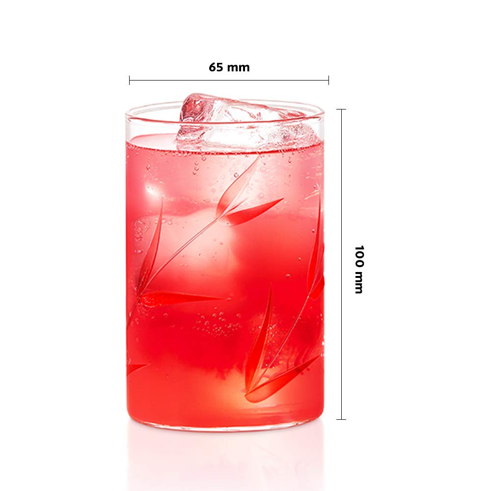 Borosil Bouquet Vision Drinking Glass 295 ml |Transparent | Set of 6 pcs - view 6