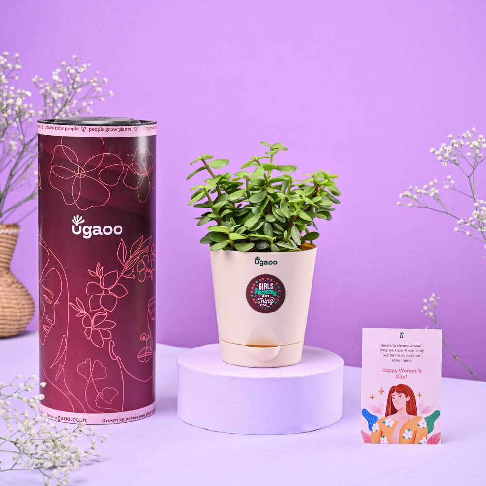 Ugaoo Jade Mini Women's Day Gift
