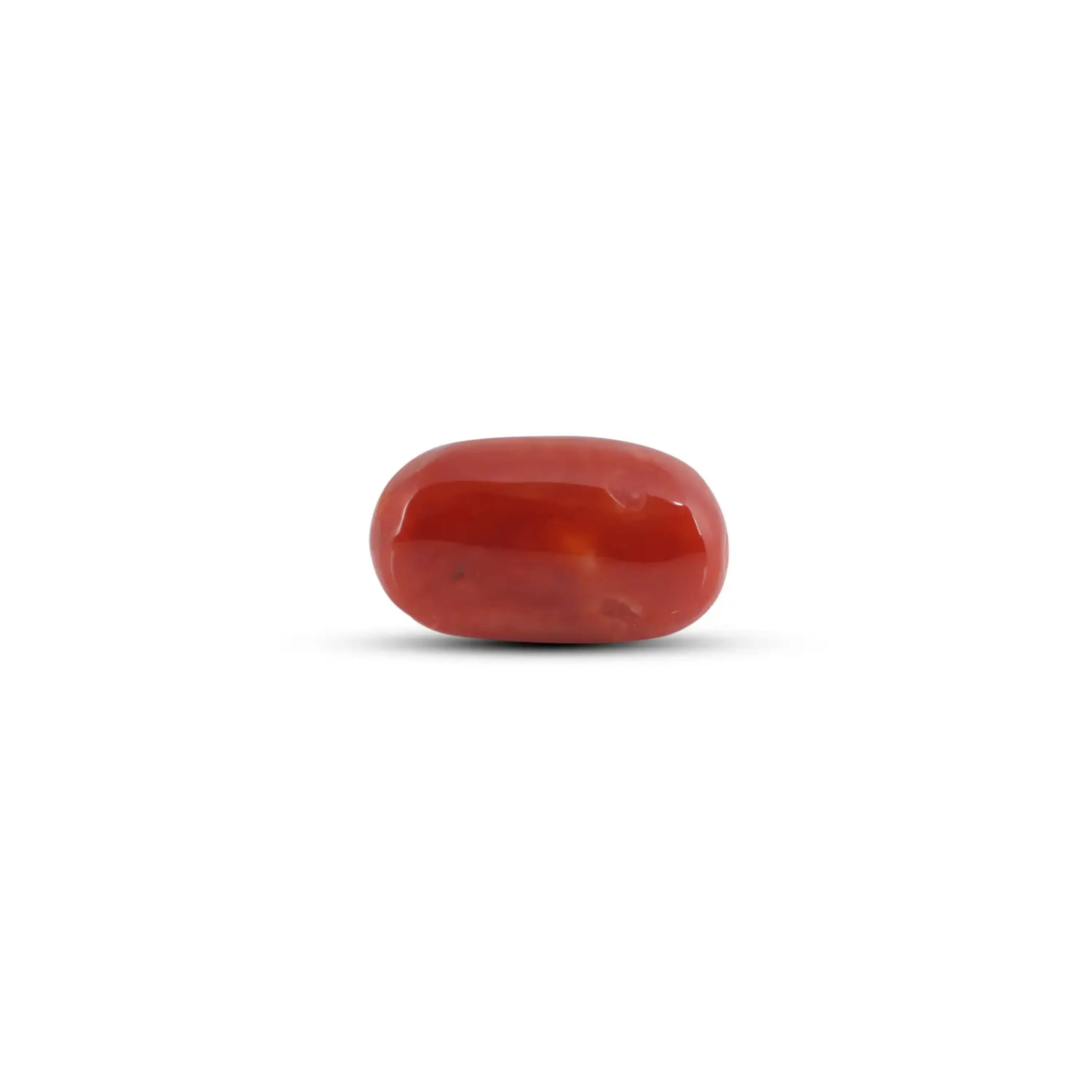 Pramogh Japanese Red Coral - 9.9 Carat - view 2