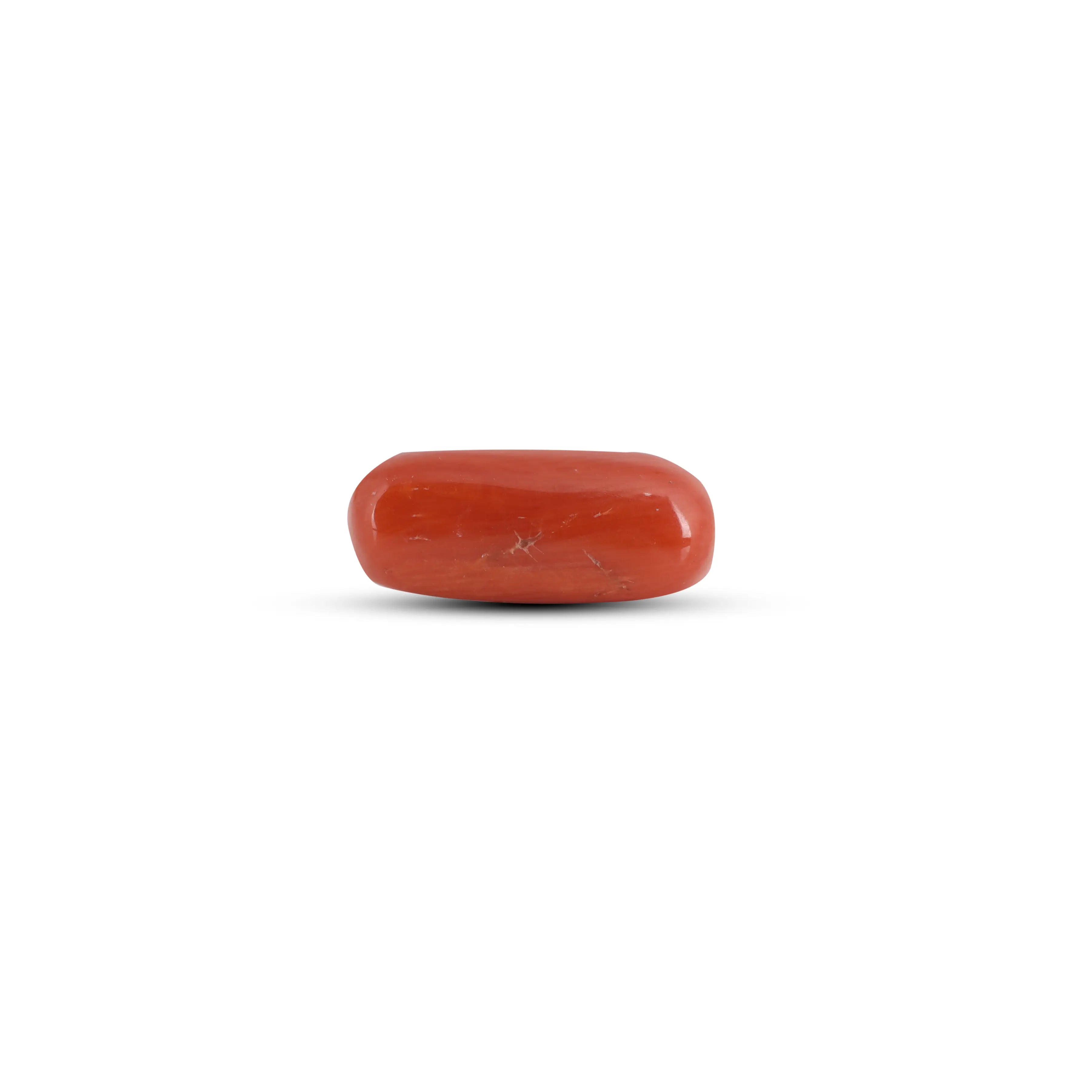 Pramogh Red Coral - 3.7 Carat