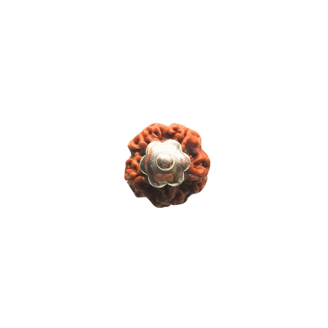 Prinjal Jewellers Silver Capping 5 Mukhi Rudraksha Pendant With Chain ( Nepali ) - view 4