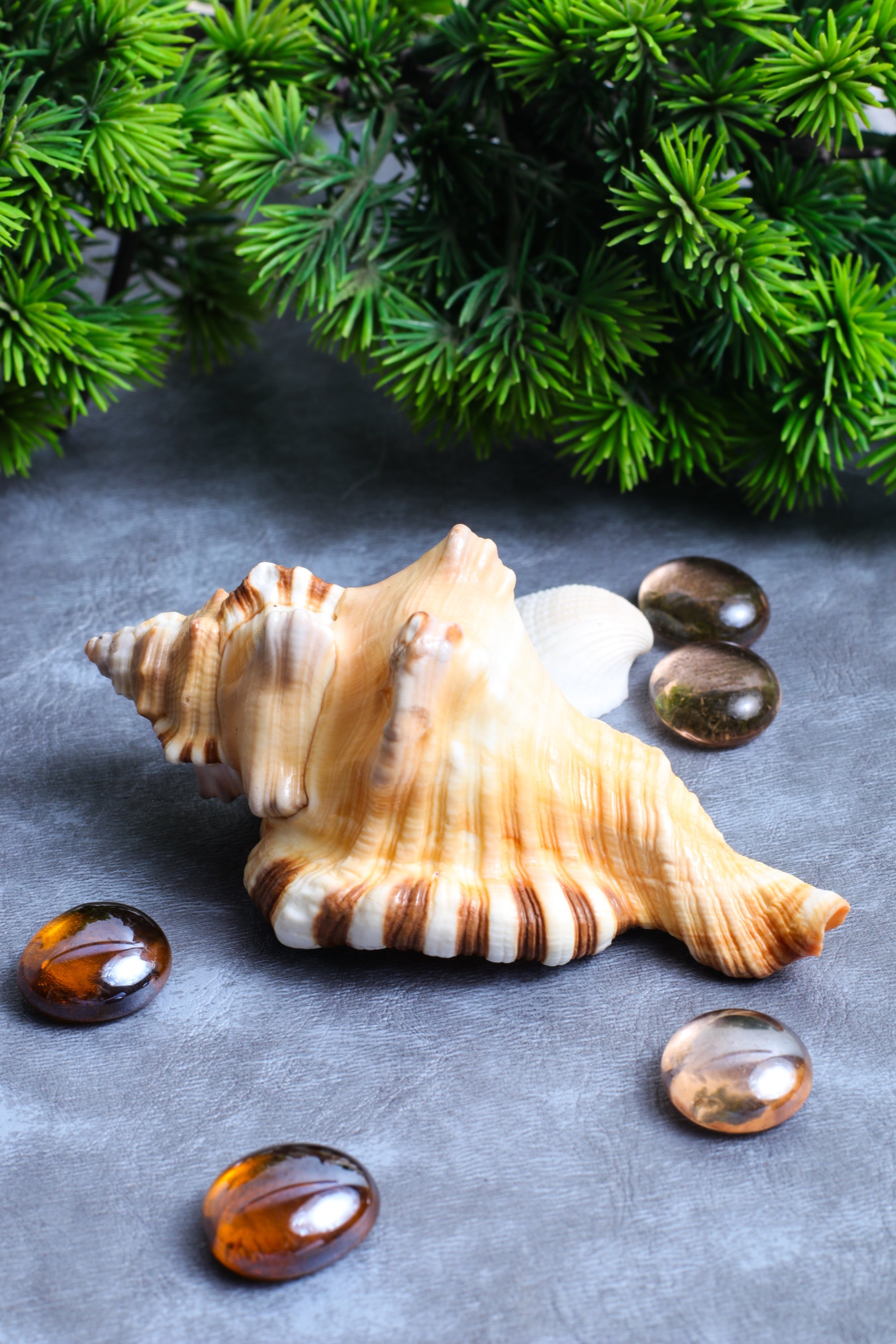 Studio Vaidik Ganesh Shankh - view 2