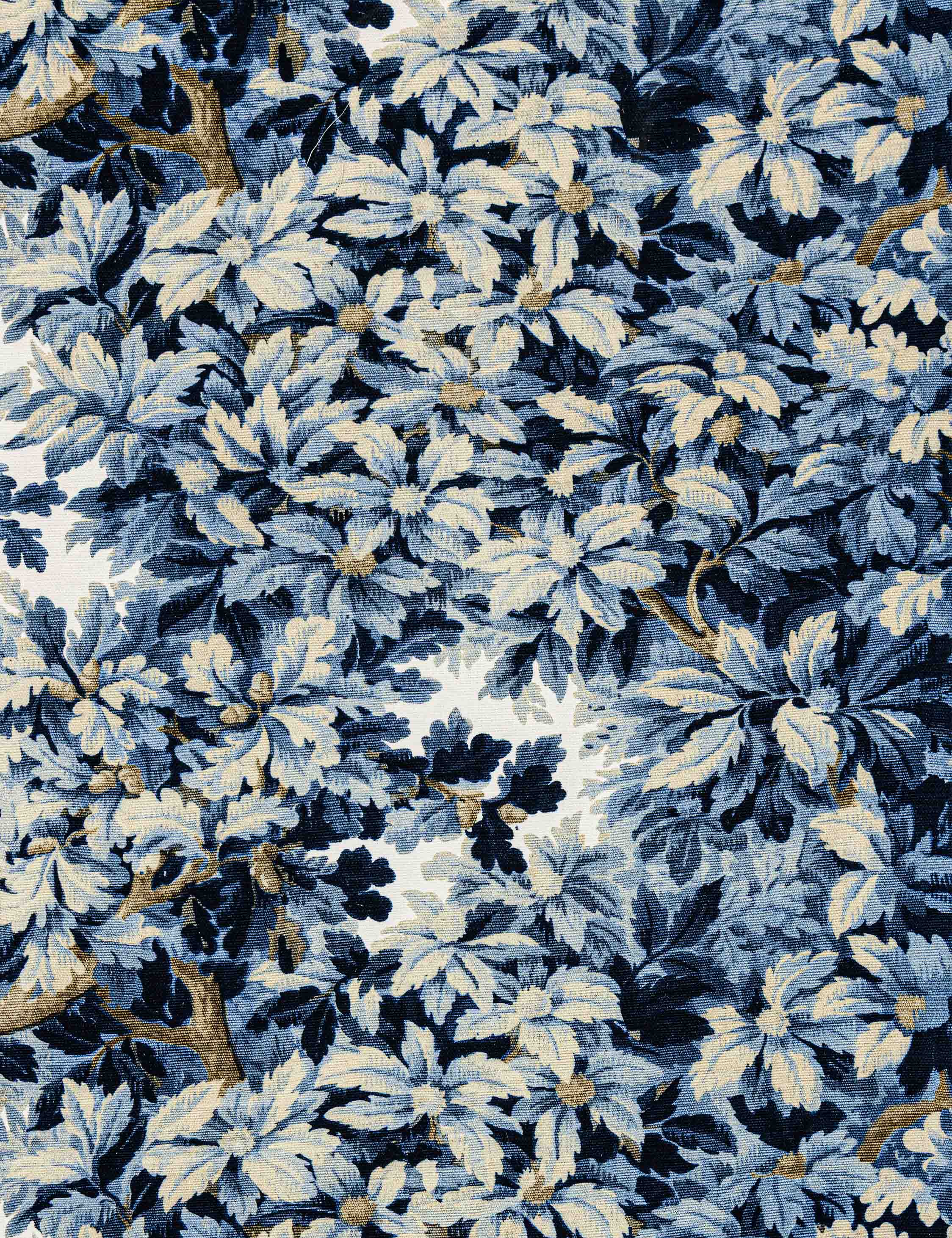 Lulu and Georgia Bois de Chene Cotton Fabric by Scalamandré - view 2