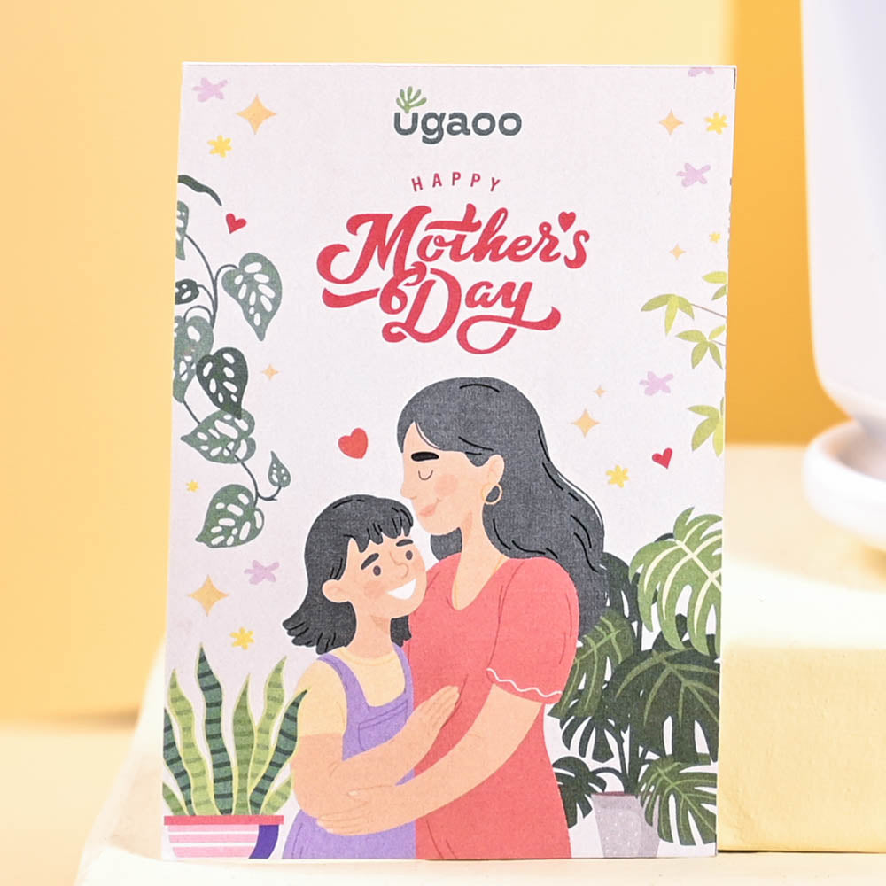 Ugaoo Jade Mini Plant For Mother's Day Gifting - view 2