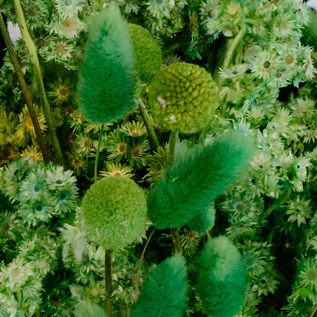 FiftyFlowers Moss Green Dried Flower Pack - view 3
