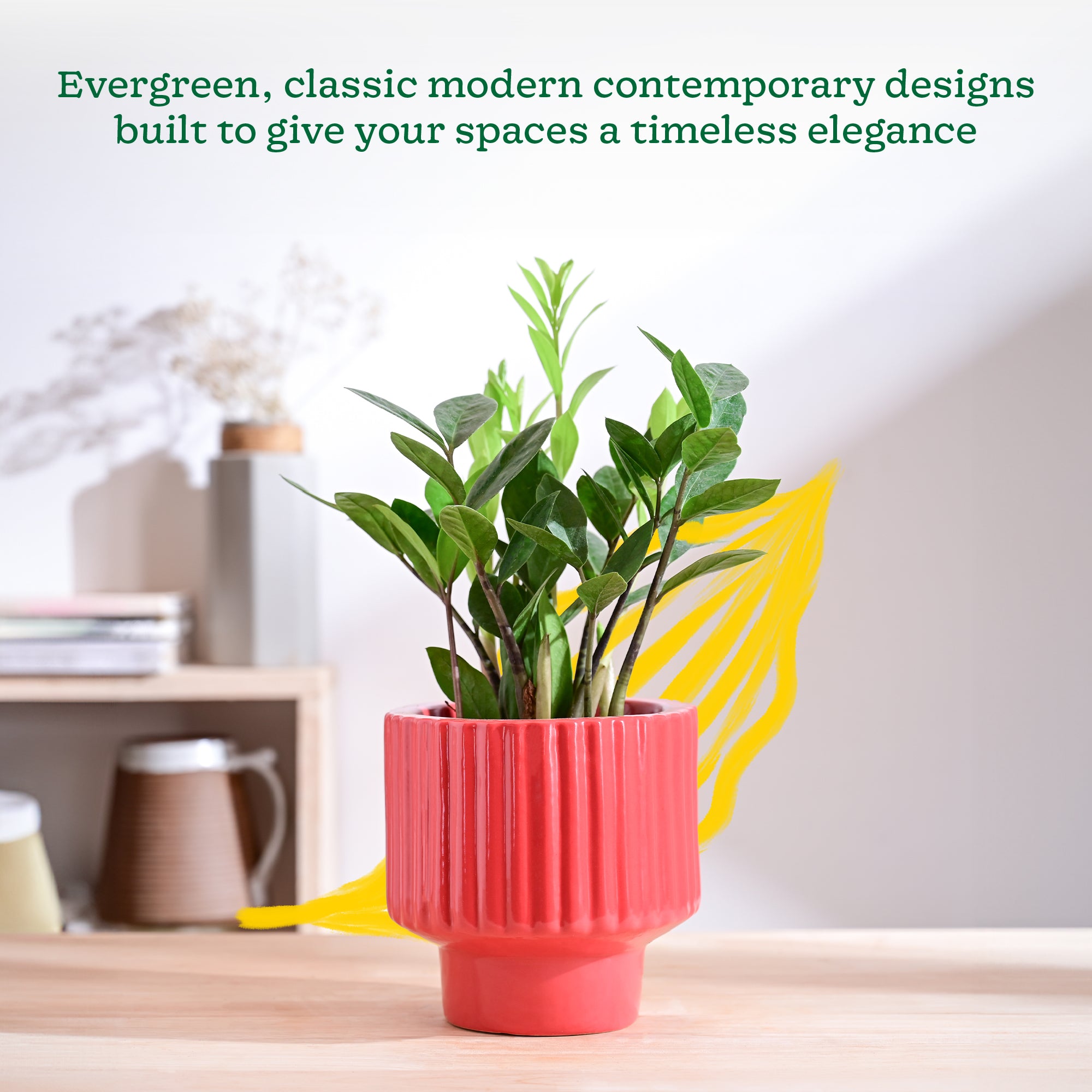 Ugaoo Forms of Love Ceramic Planter - view 10