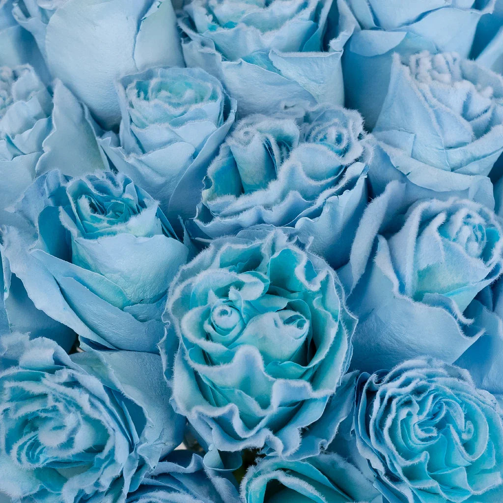 FiftyFlowers Tinted Light Blue Fuzzy Roses - view 4