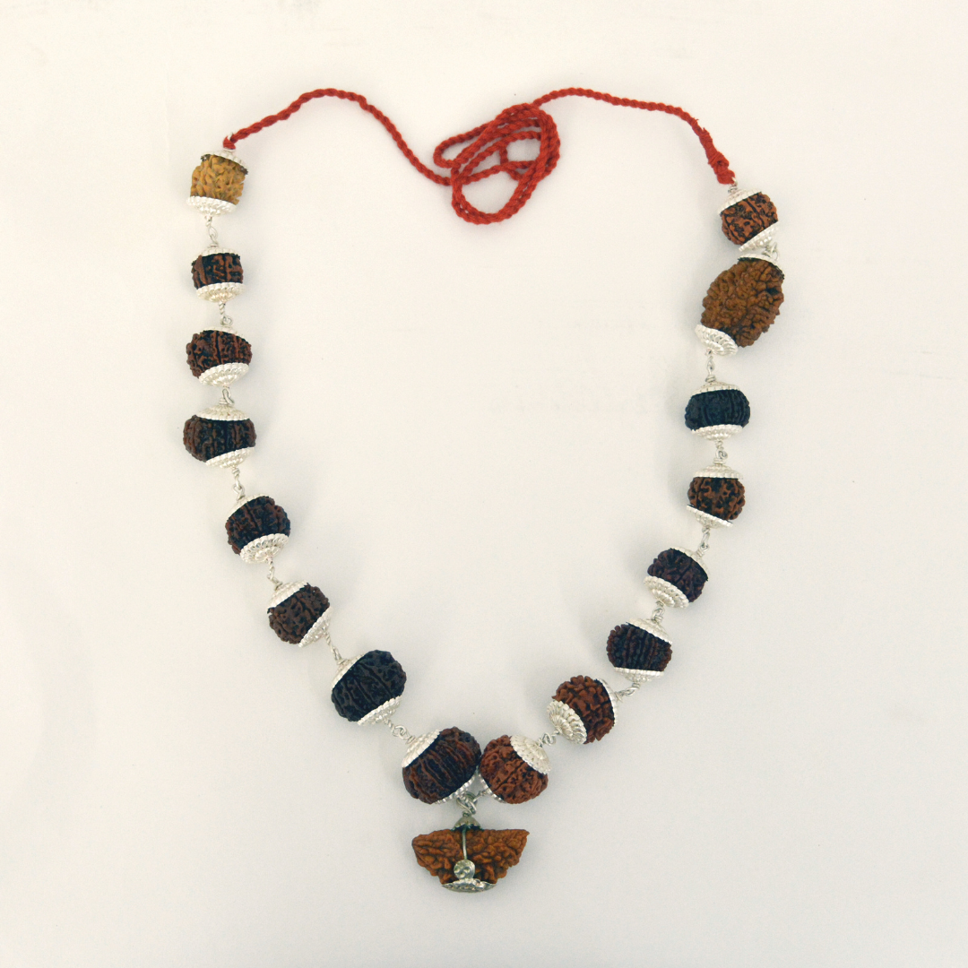 Studio Vaidik Indrakshi Mala with silver cap made by 1-14 Mukhi Rudraksha (Length 36cm approx)